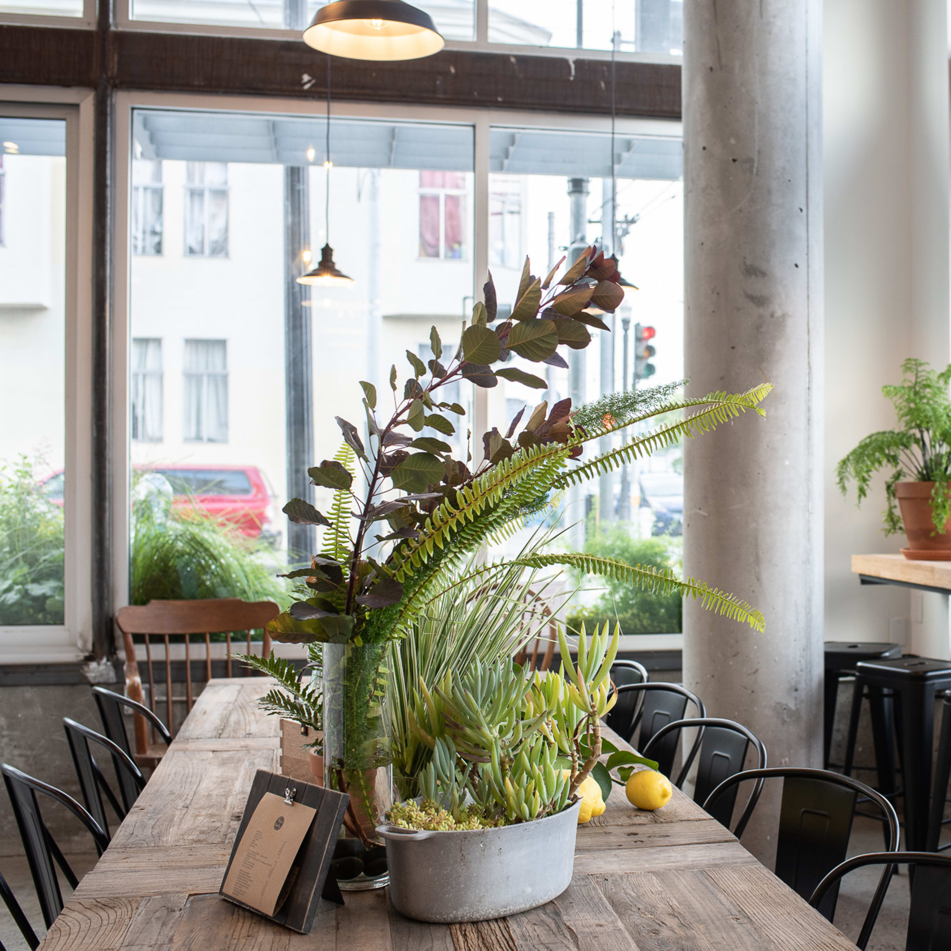 A light-filled café interior with a wooden communal table, metal stools, and various potted plants positioned throughout the space.