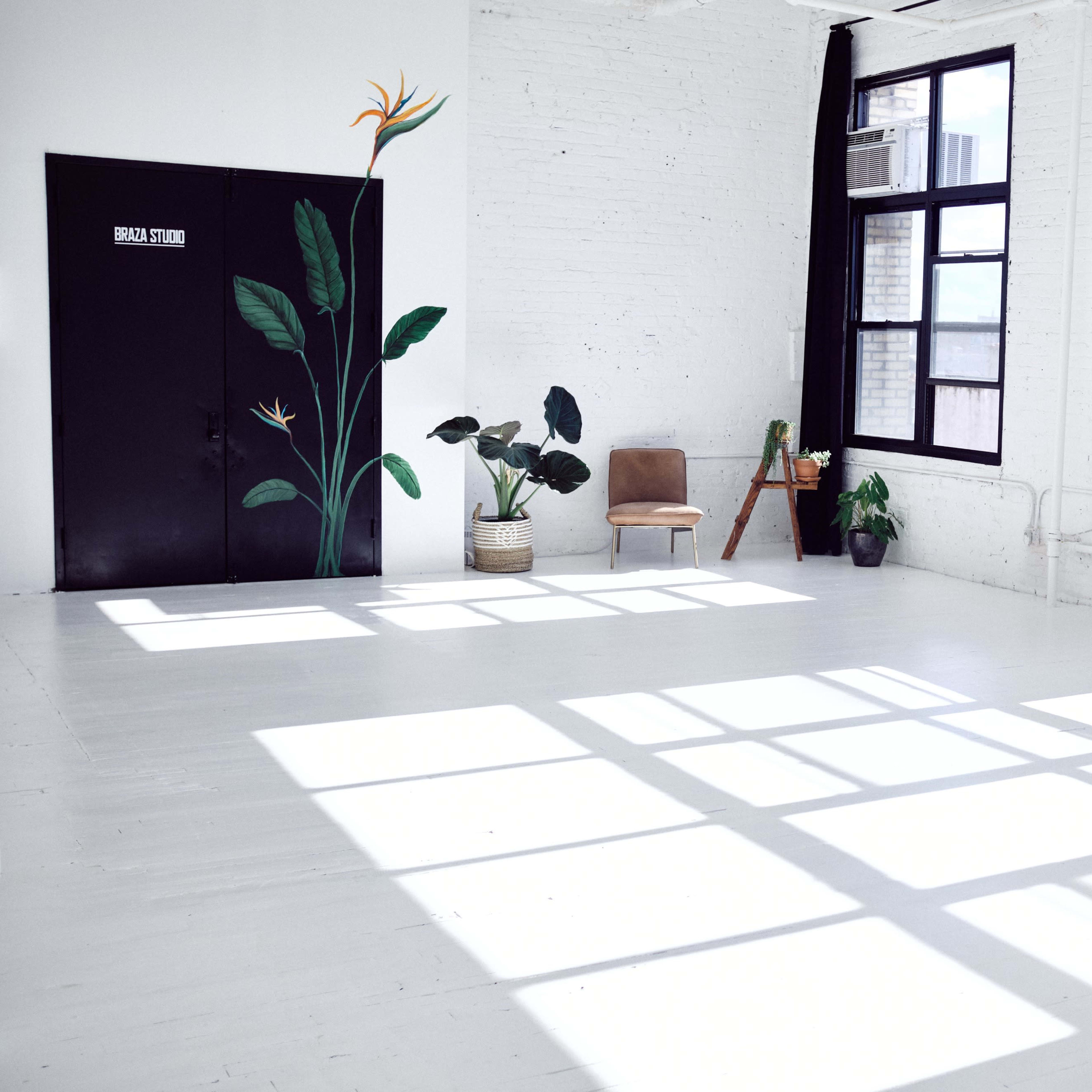 A bright, spacious room with large windows, featuring a mural of a plant, a chair, and a few potted plants along with distinct shadows on the floor.
