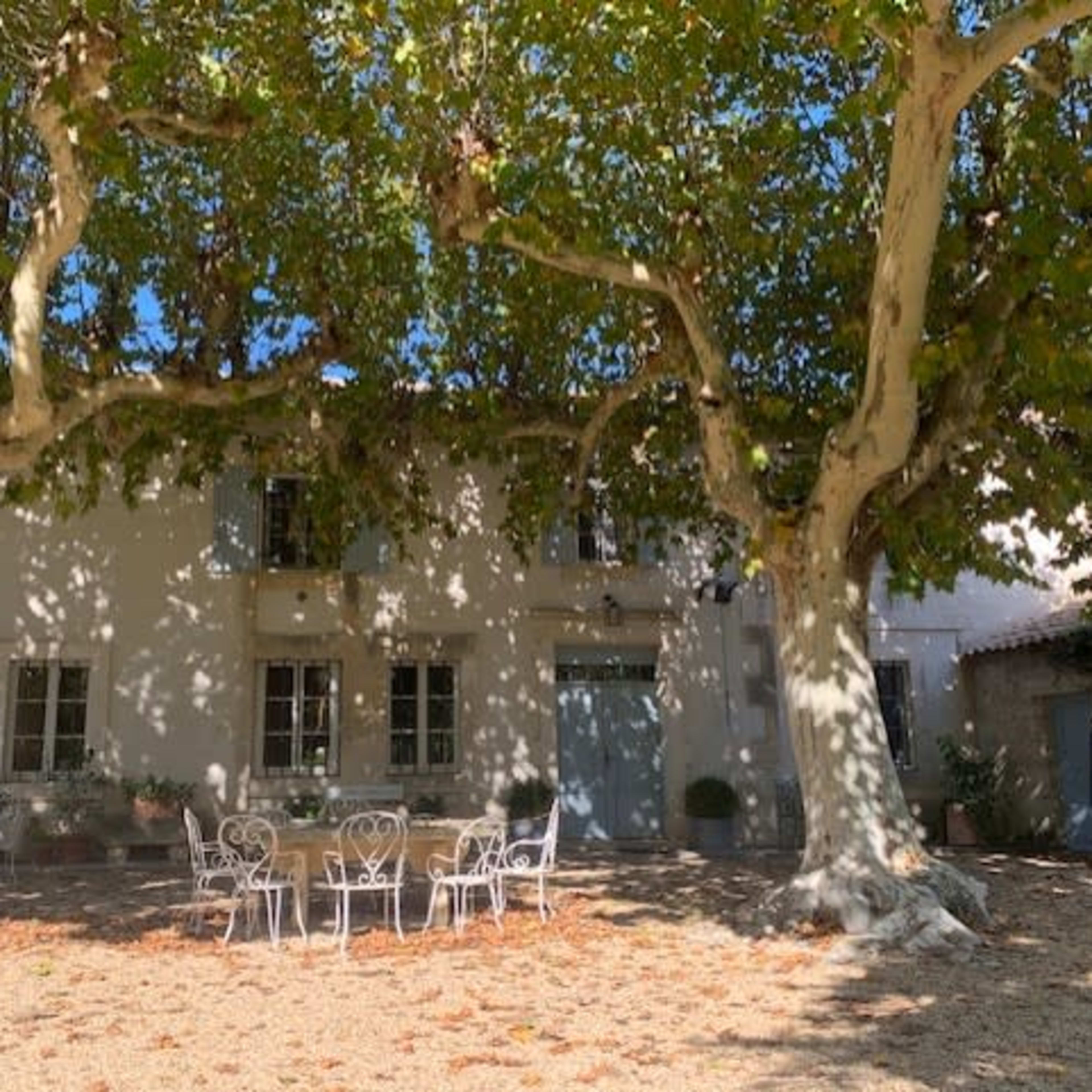 A stone building with white shutters is situated beneath two large trees, with a patio area featuring metal chairs and a table surrounded by gravel.