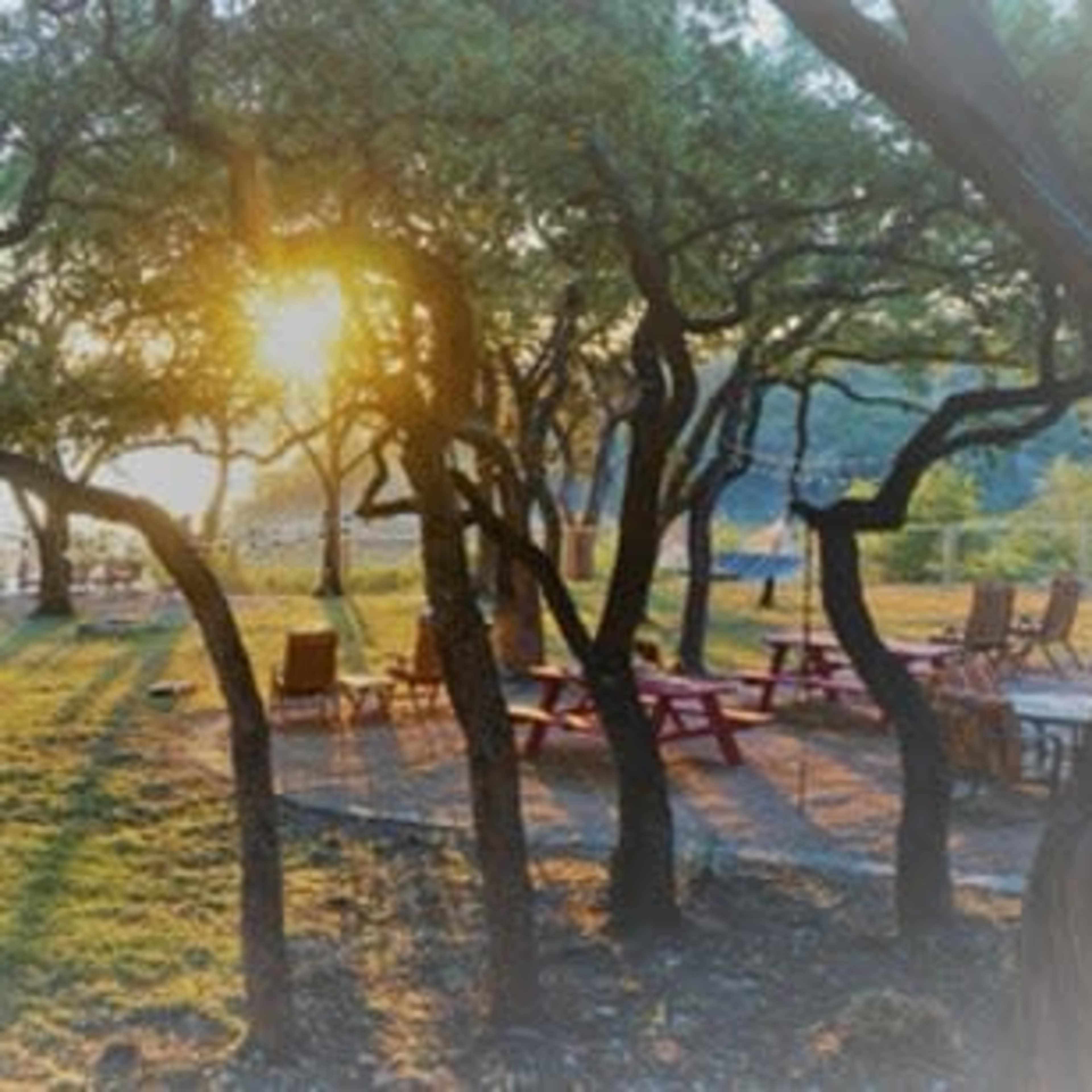 Rustic Lake-Side Lodge Image in , Spicewood, TX