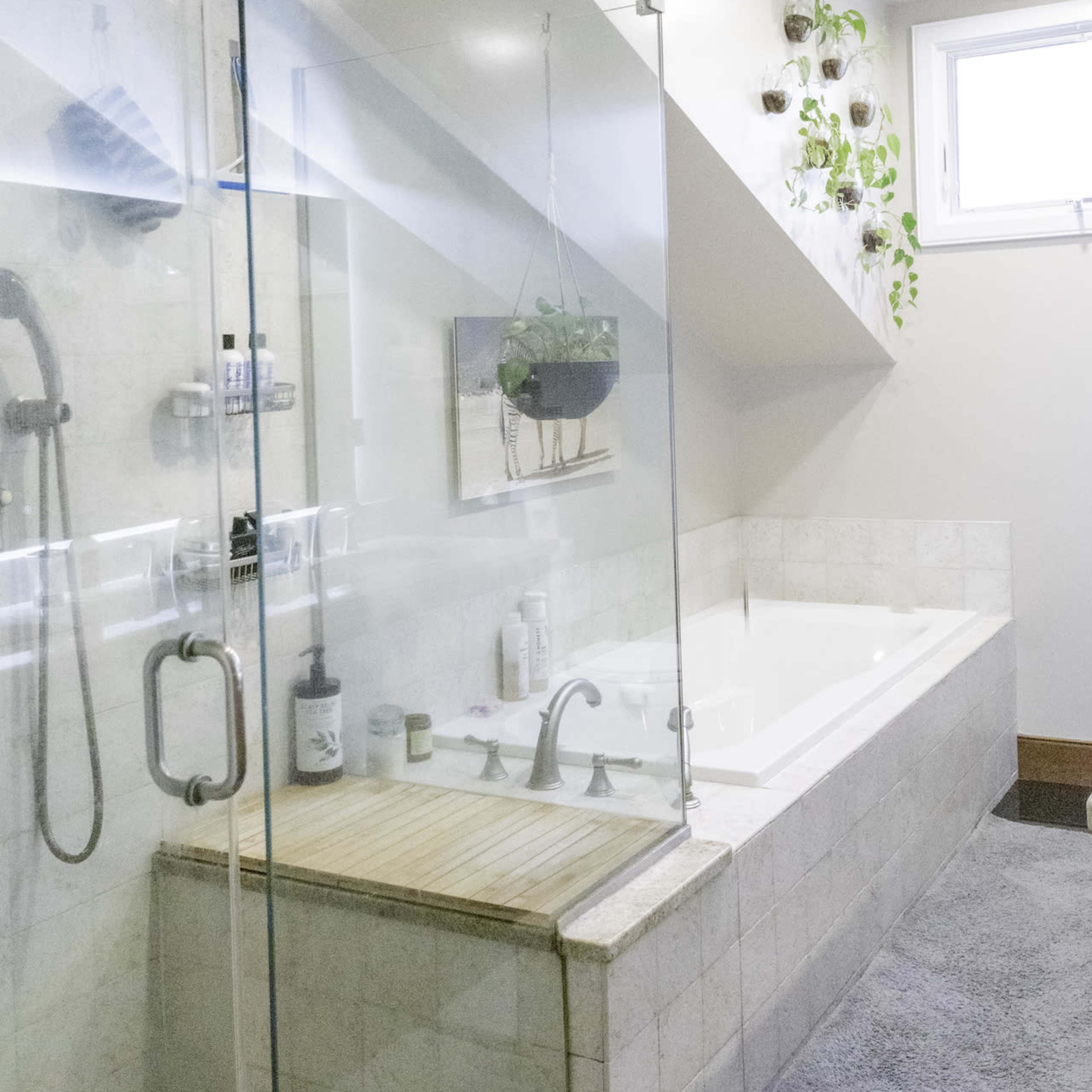 A modern bathroom featuring a glass shower enclosure, a freestanding bathtub, and a small hanging plant near a window.