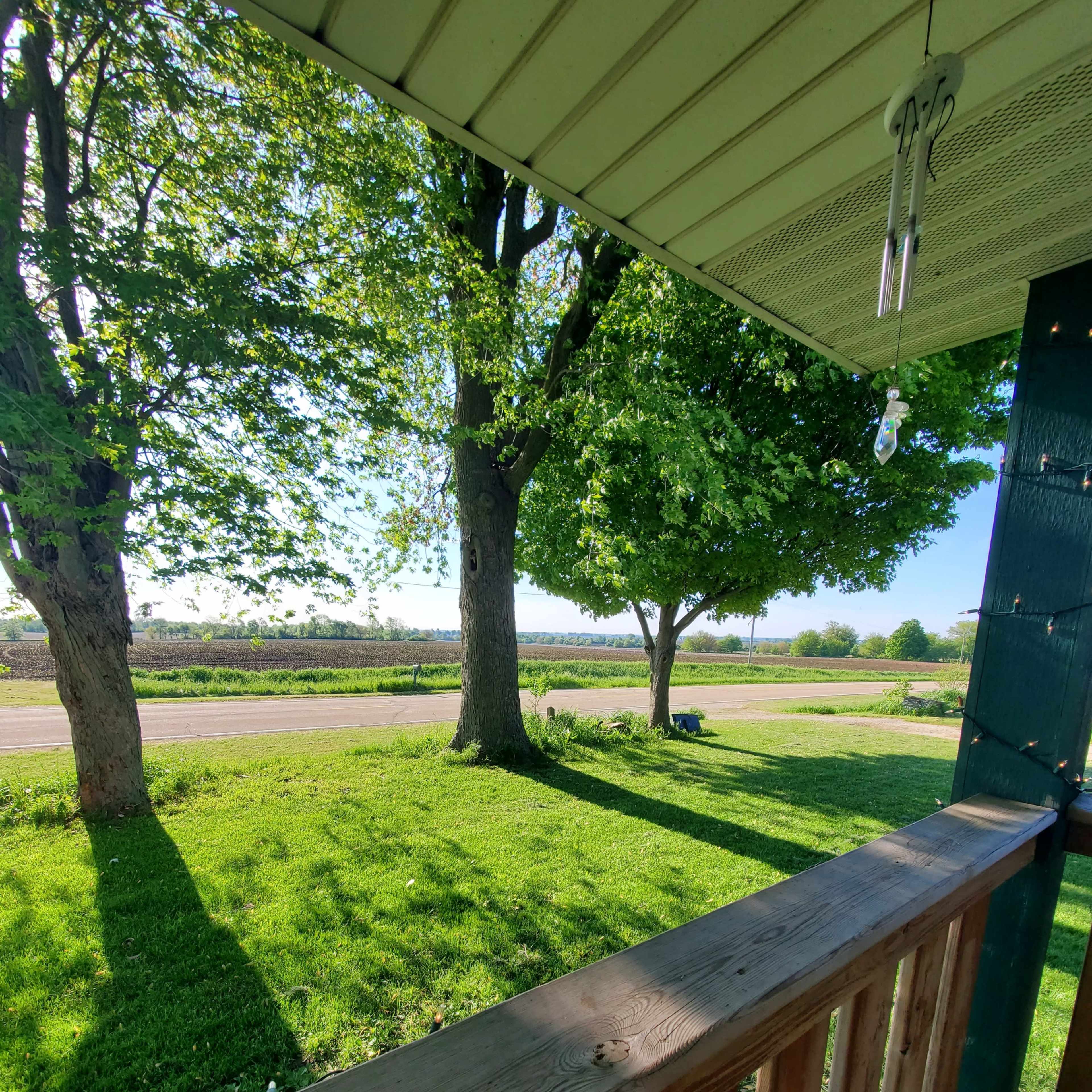 A view from a porch overlooking a grassy yard with two trees and a road in the background.