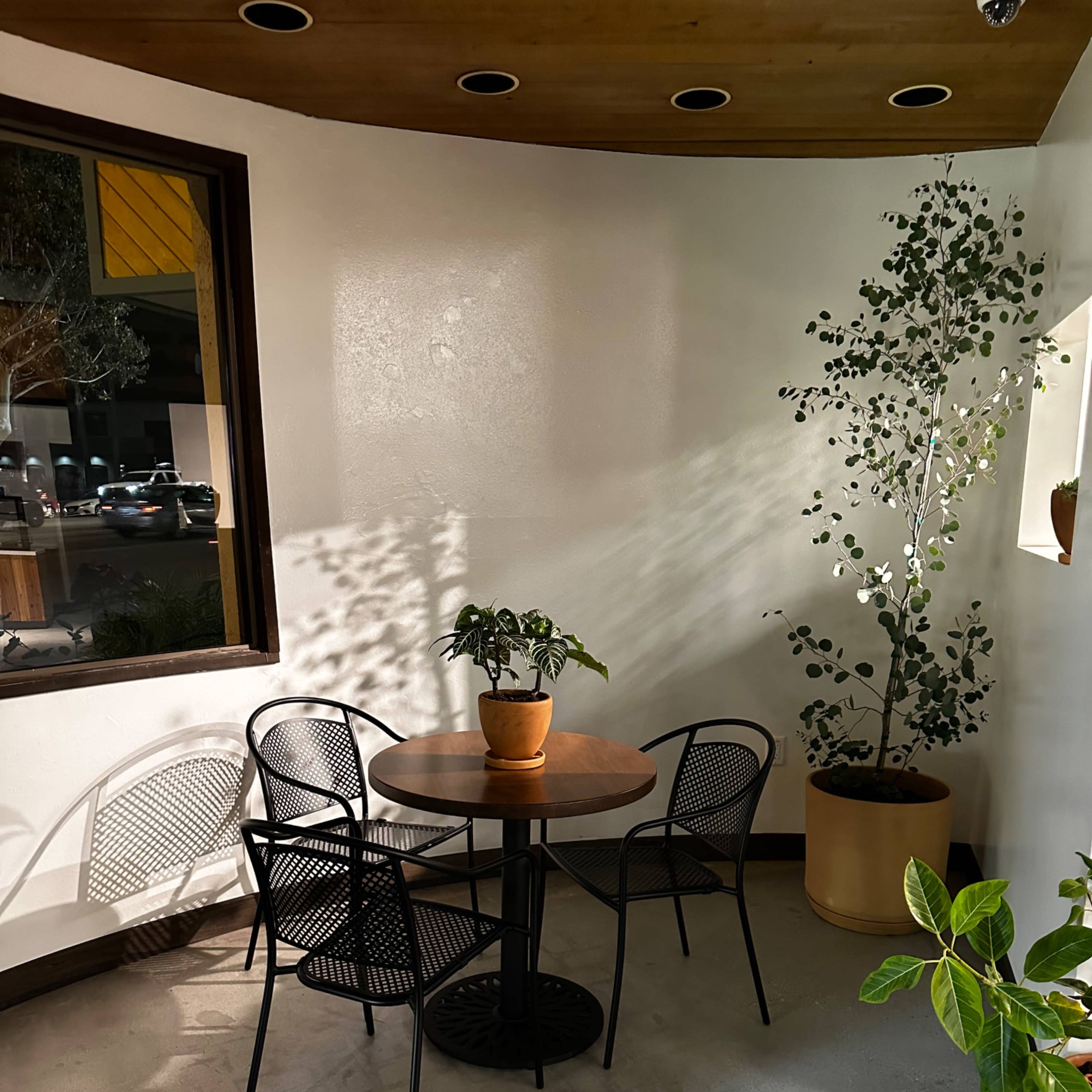 A small table with four black chairs is positioned in a corner beside a potted plant, under a softly illuminated space with a curved ceiling.
