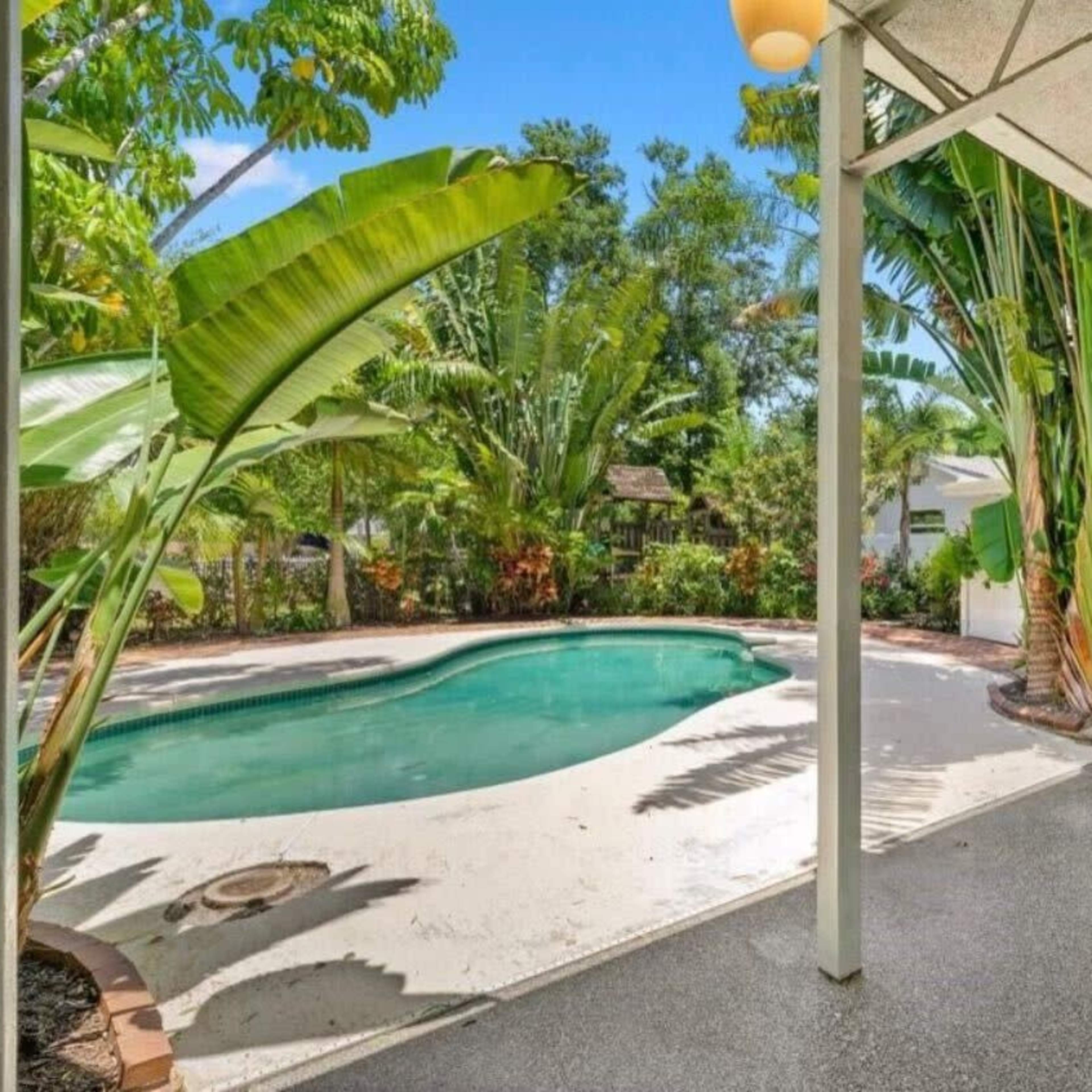 A backyard with a swimming pool surrounded by tropical plants and trees, viewed from a covered patio area.