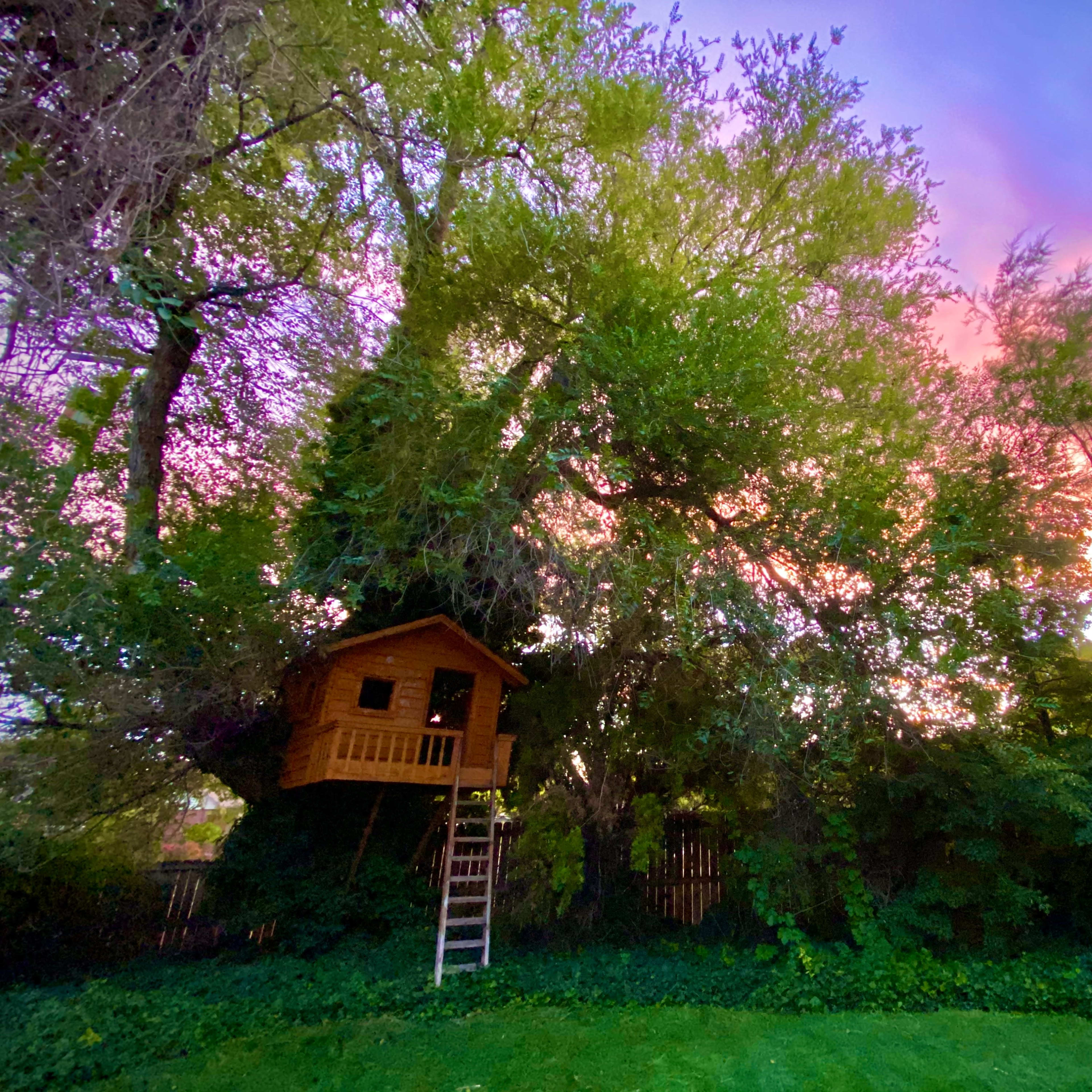 A wooden treehouse is nestled in large trees, surrounded by green foliage and set against a vibrant sunset sky.