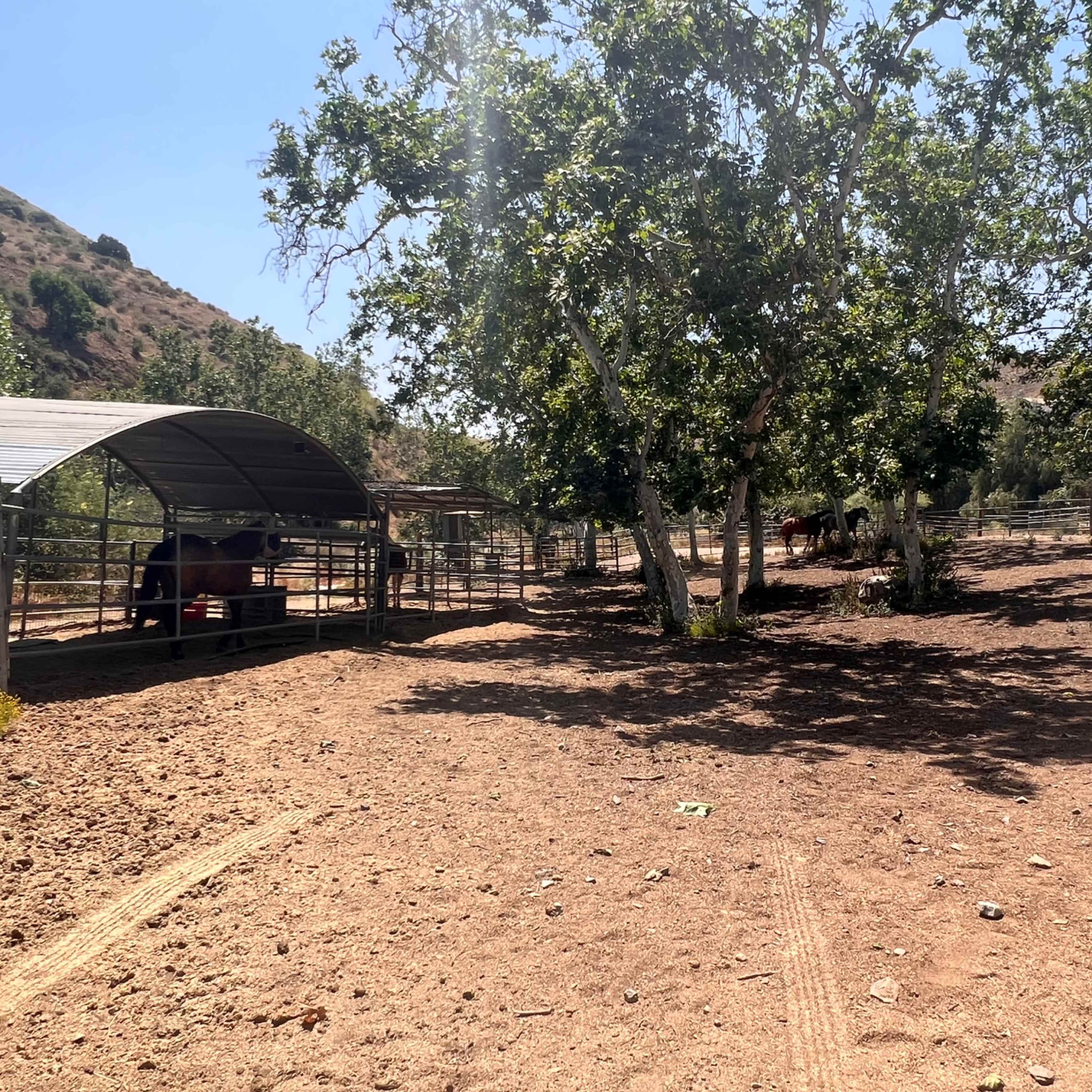 A dirt area on a ranch with a shelter, several trees, and horses grazing in the background.