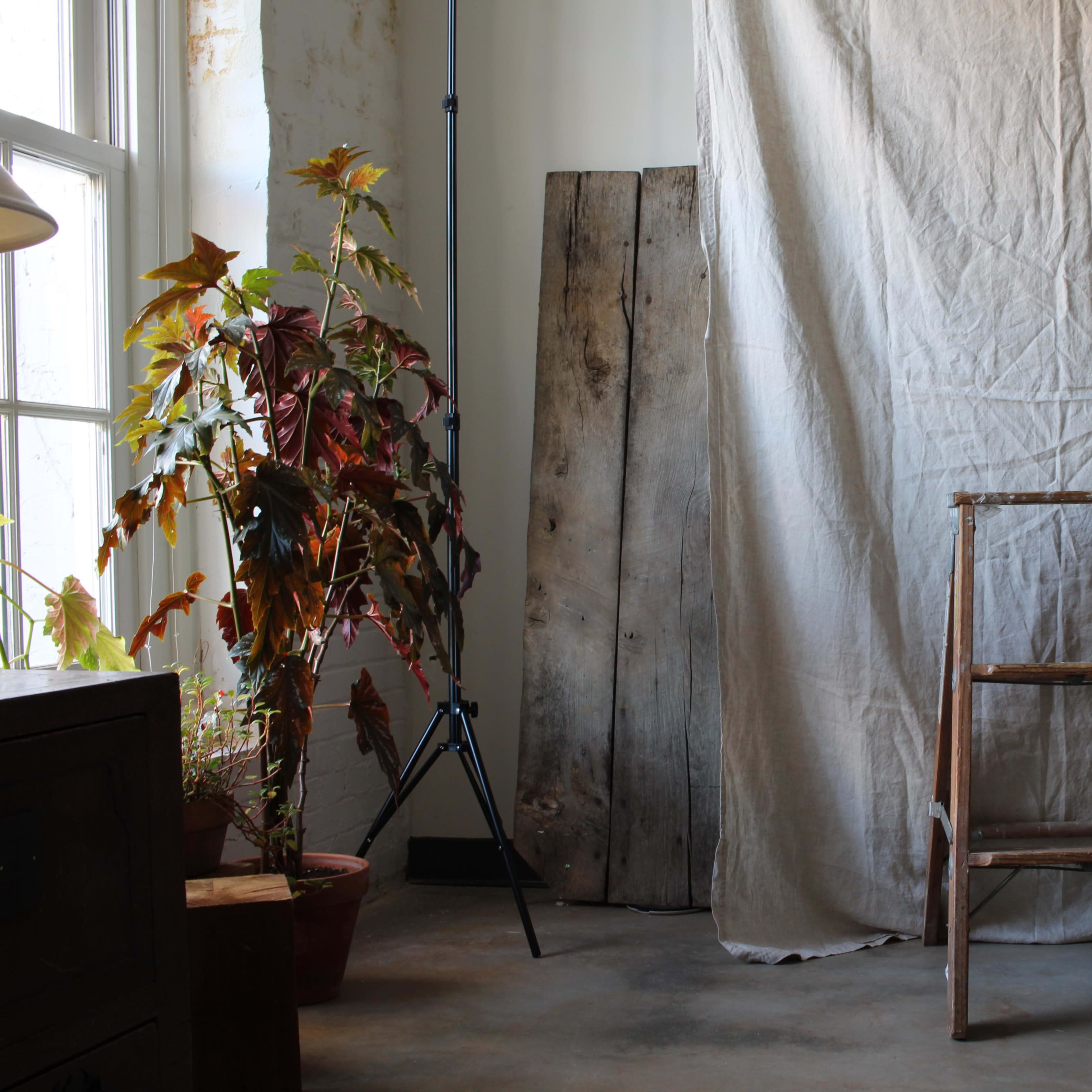 A wooden ladder stands in front of a blank canvas backdrop, flanked by a potted plant and wooden boards in a room with concrete flooring.