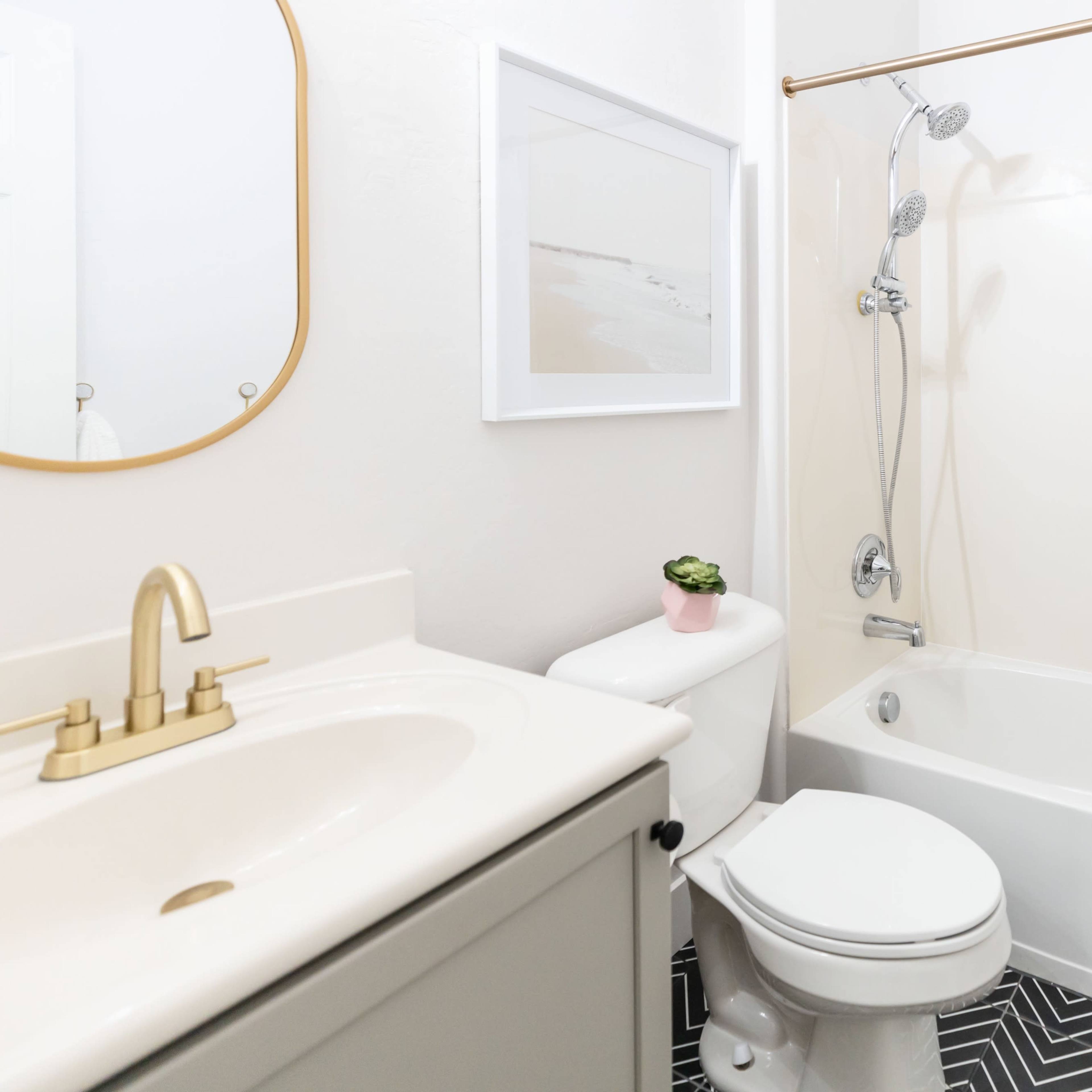 A small bathroom features a bathtub with a shower, a vanity with a sink, a toilet, and a decorative plant on a shelf.
