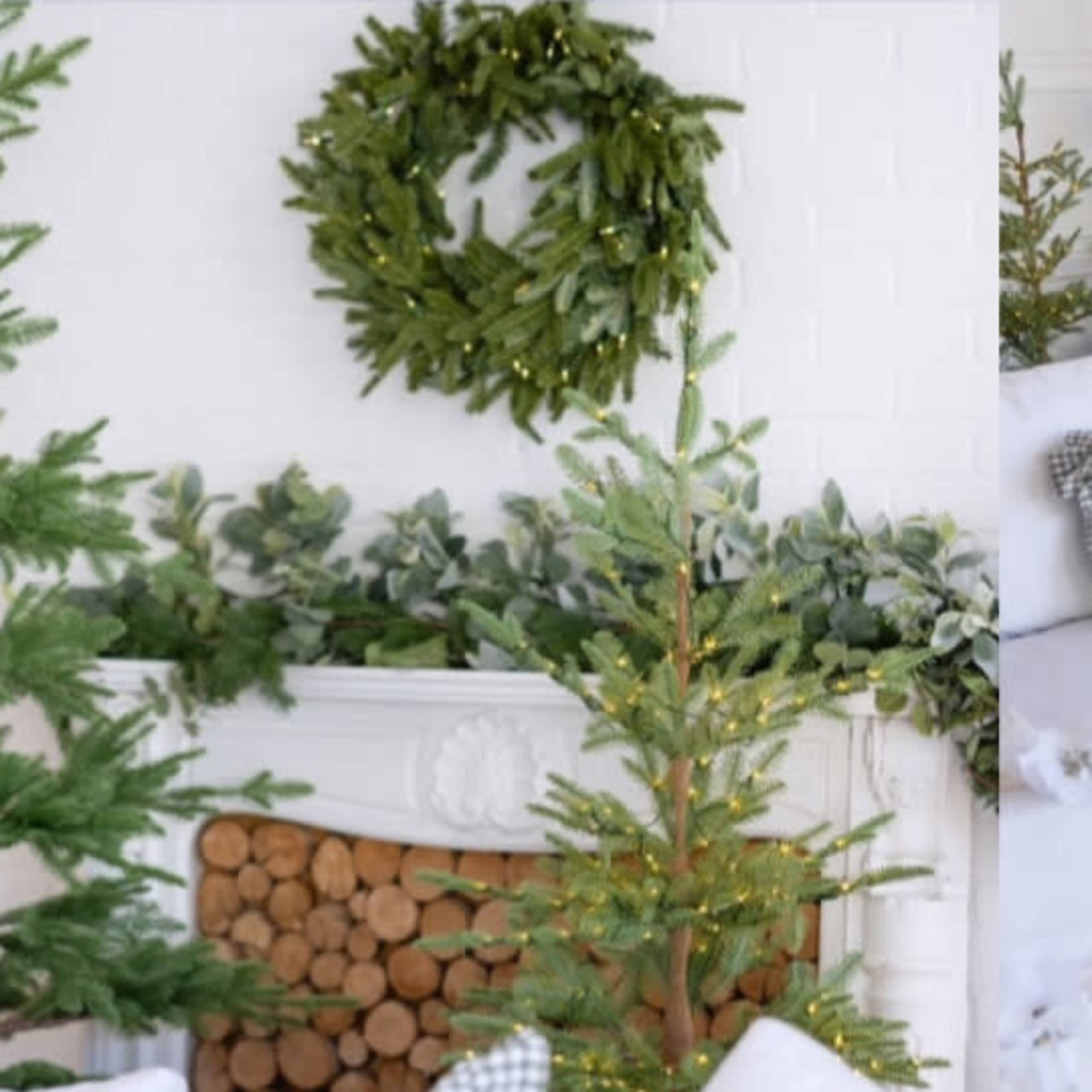 COZY FOR CHRISTMAS + PAPER ROLL AREA THAT IS NON SEASONAL Image in Pantego, Pantego, TX