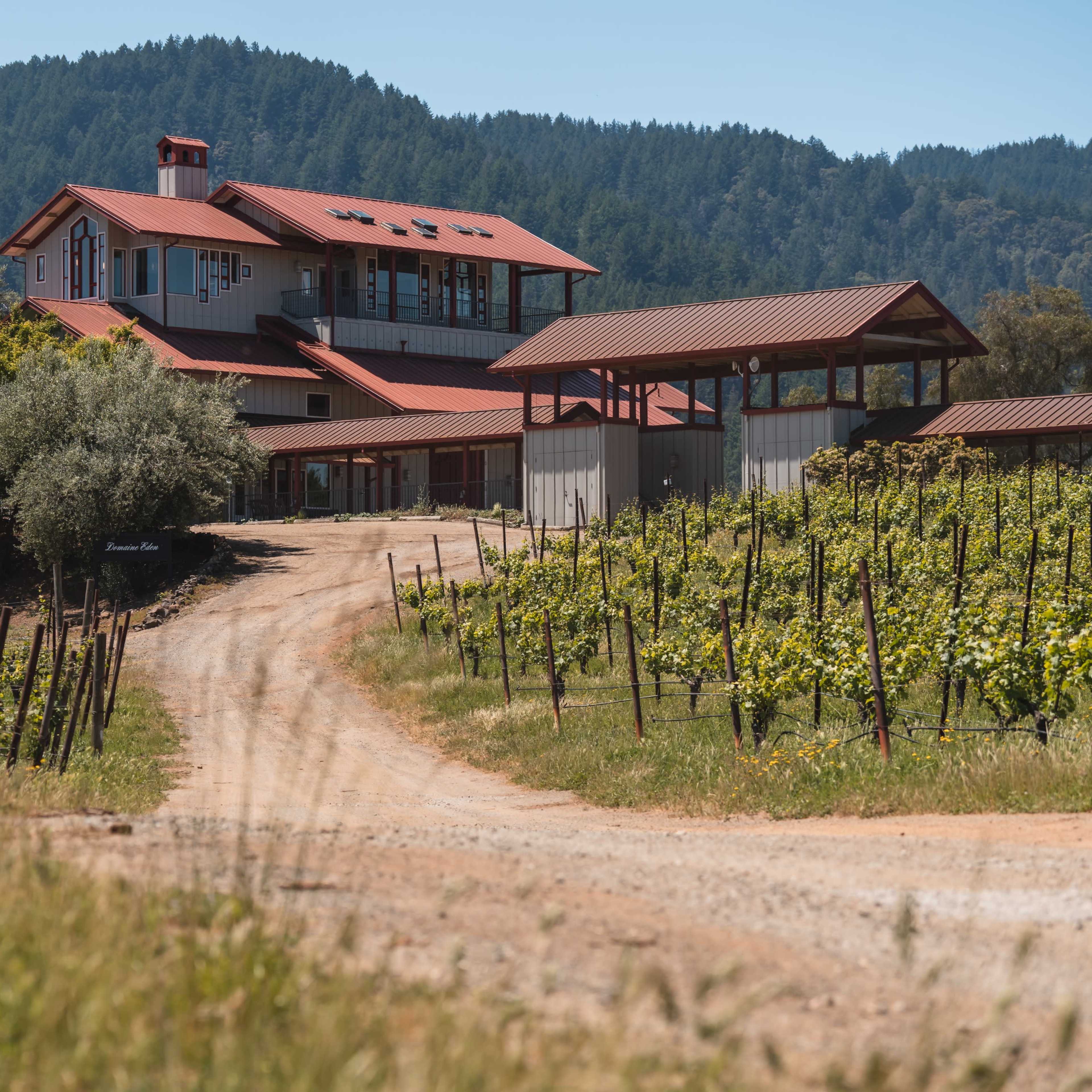 Elegant Vineyard Venue in Saratoga – Ideal for Tastings & Team Offsites Image in Saratoga, Saratoga, CA