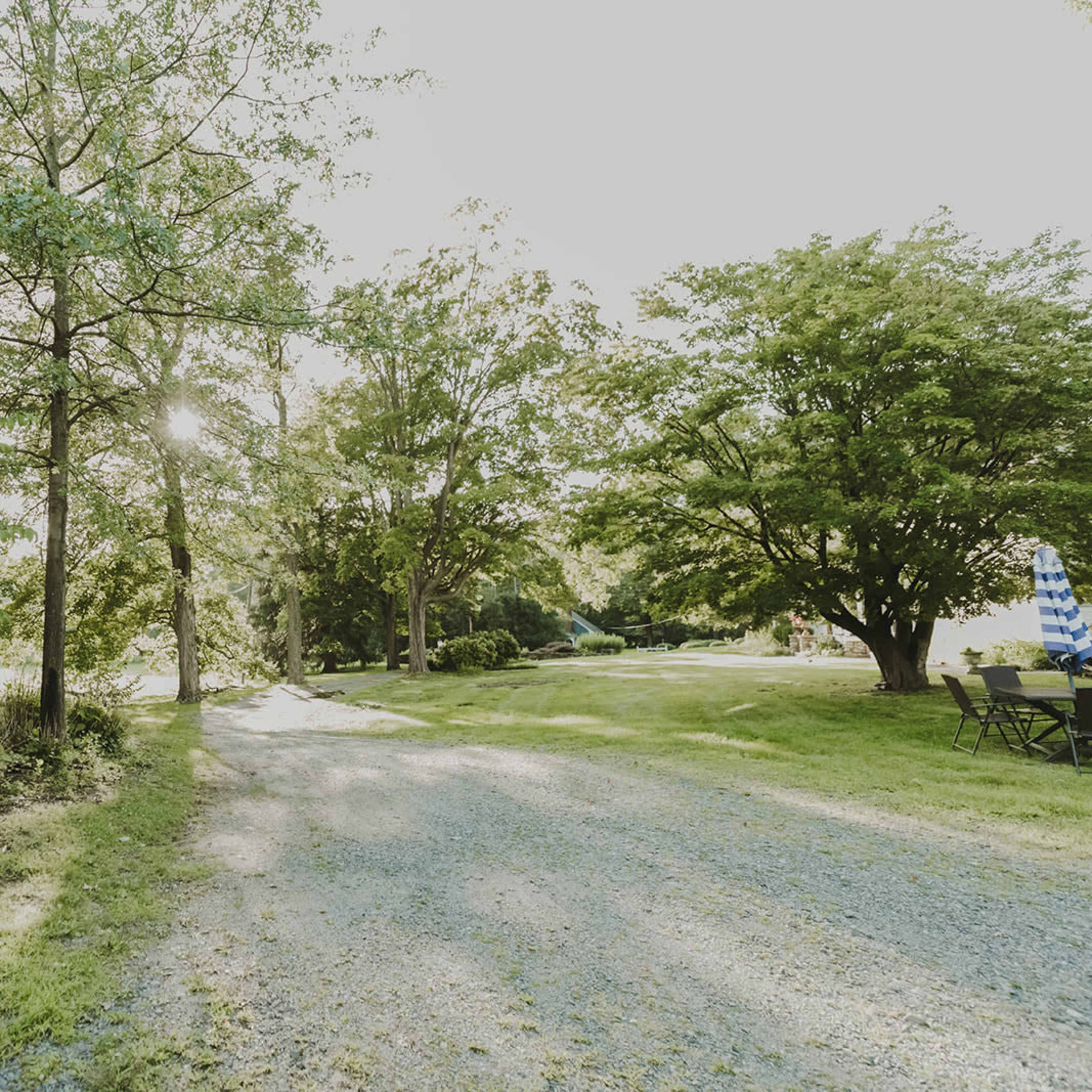 A gravel path leads through green grass and trees beside a red building, with sunlight filtering through the leaves.