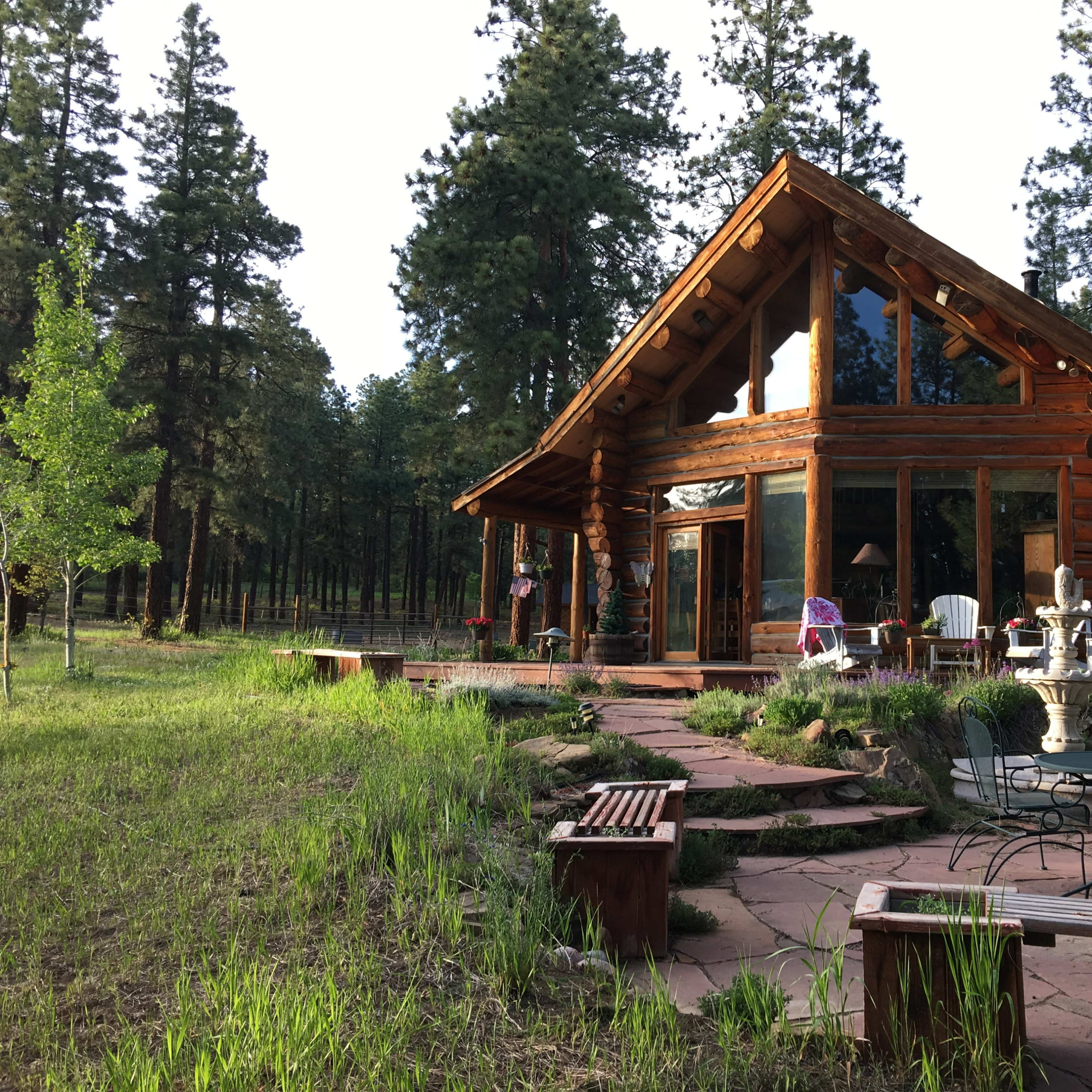 A log cabin with large windows and a spacious porch is surrounded by tall pine trees and grassy areas, featuring a stone path and outdoor seating.