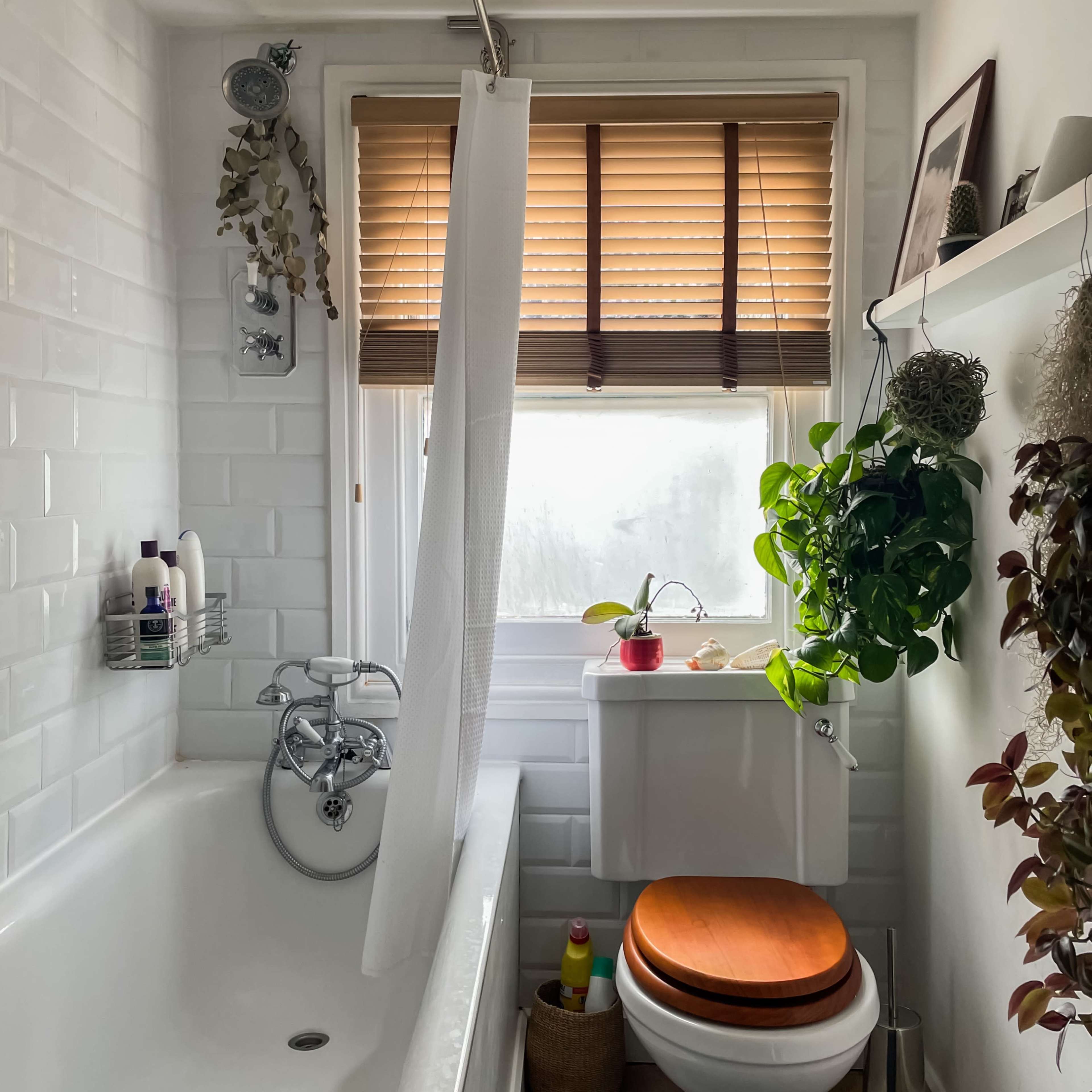 A bright bathroom features a bathtub, a toilet with a wooden seat, a window with blinds, and potted plants.