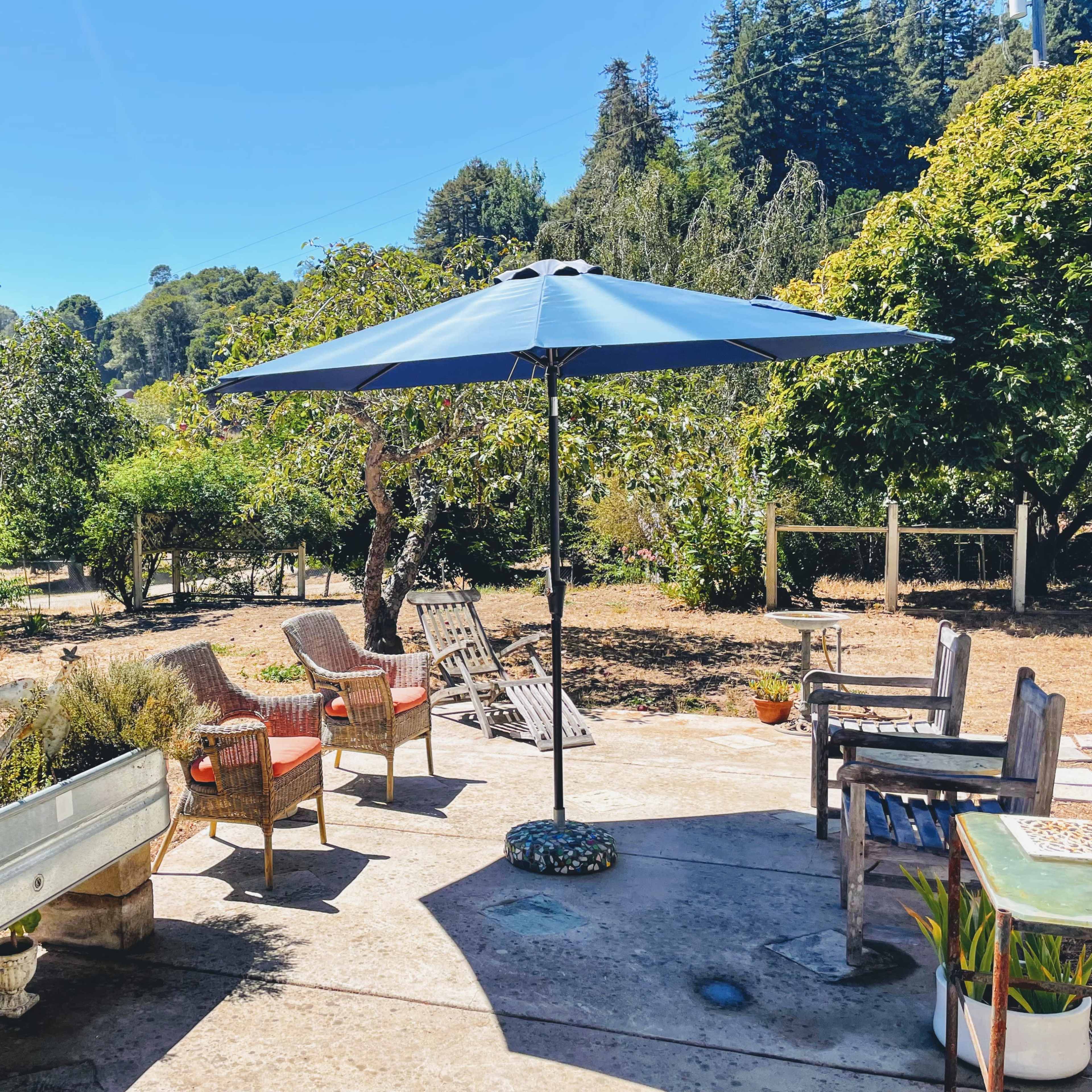 A seating area with an umbrella is situated in a garden surrounded by trees and greenery.