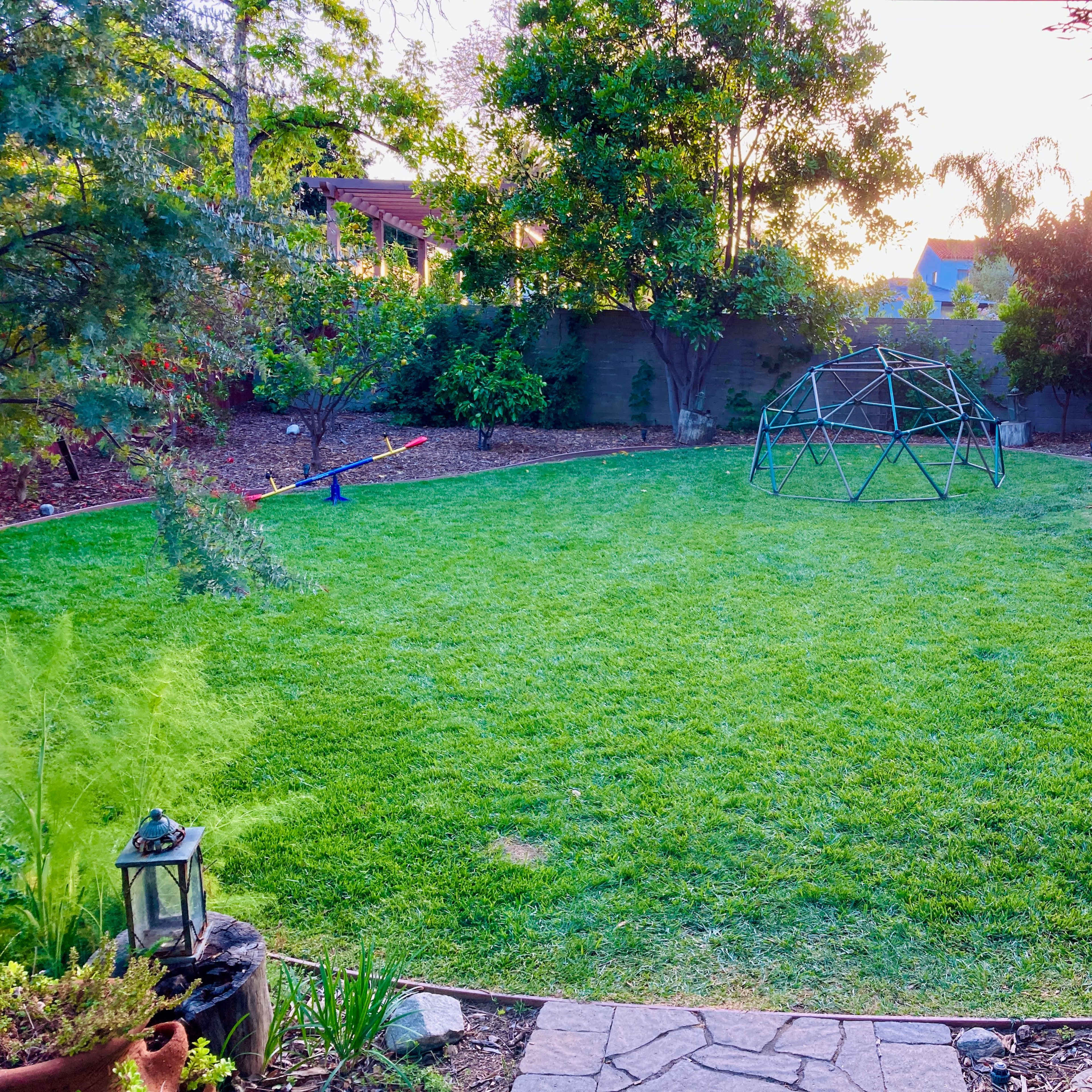 A well-maintained backyard with a grassy area, a playground structure, and various plants around the perimeter.