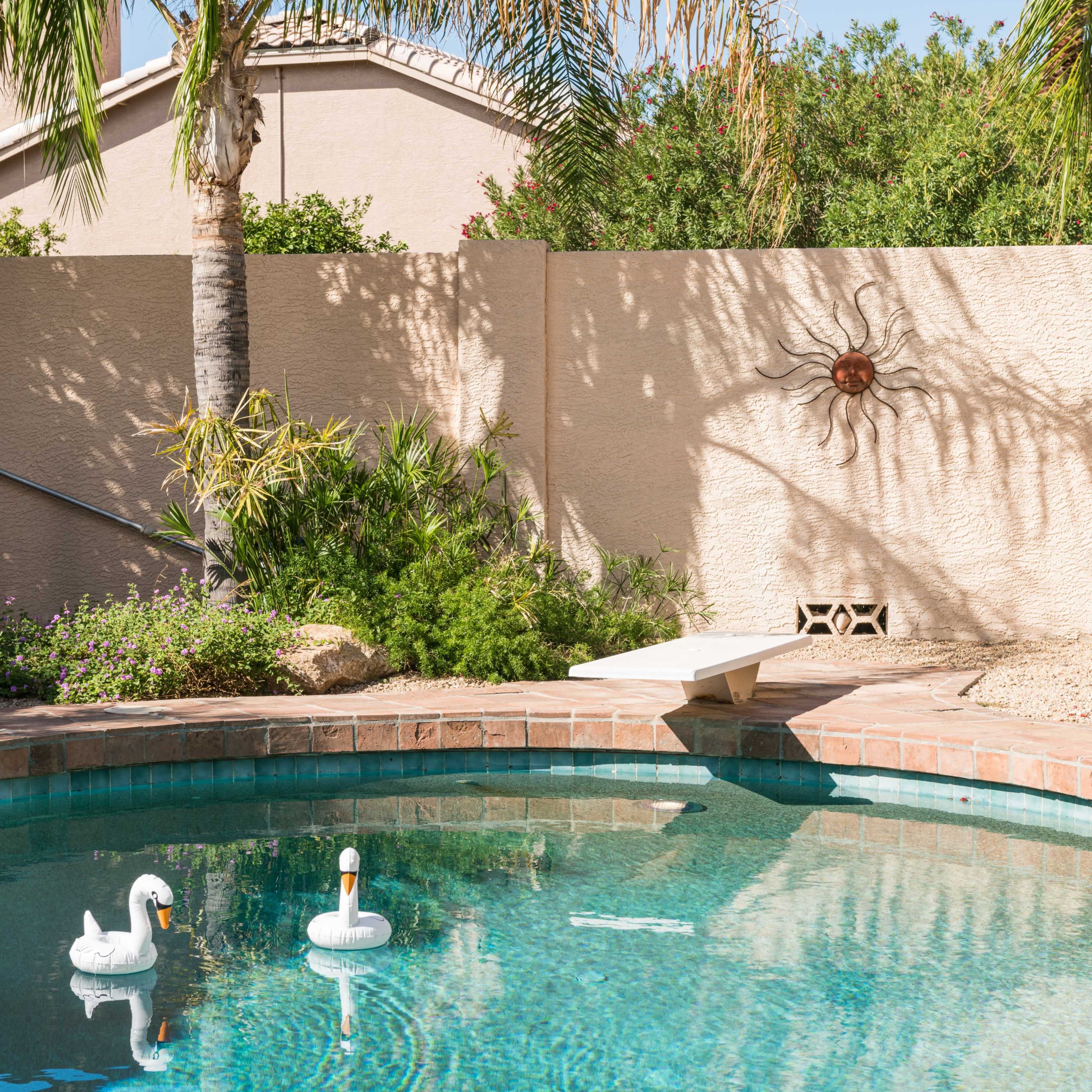 A swimming pool with decorative swan floaties, surrounded by a landscaped garden and a wall casting a shadow of a decorative sun.