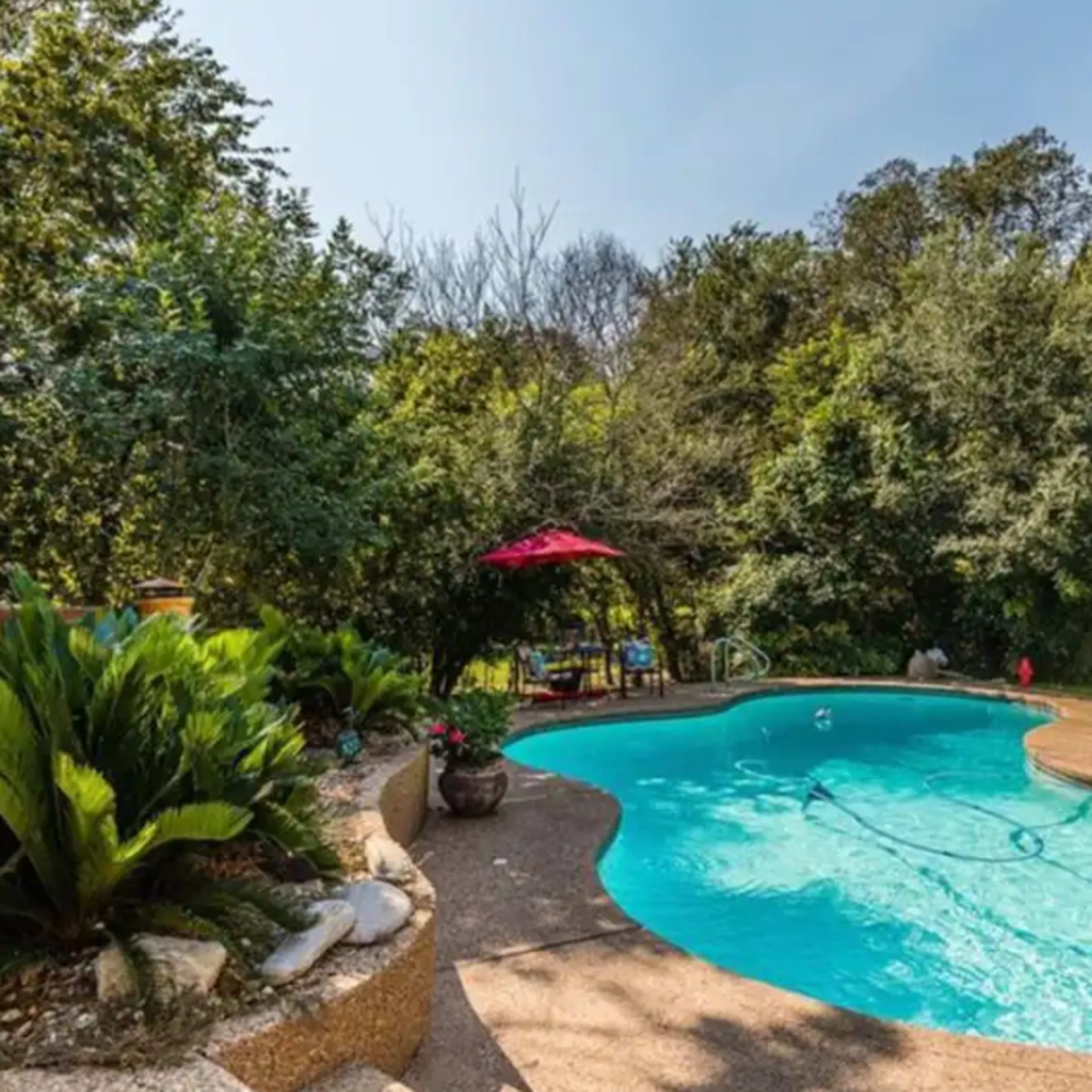 A pool with a curved edge is surrounded by greenery and features a shaded seating area with a red umbrella.