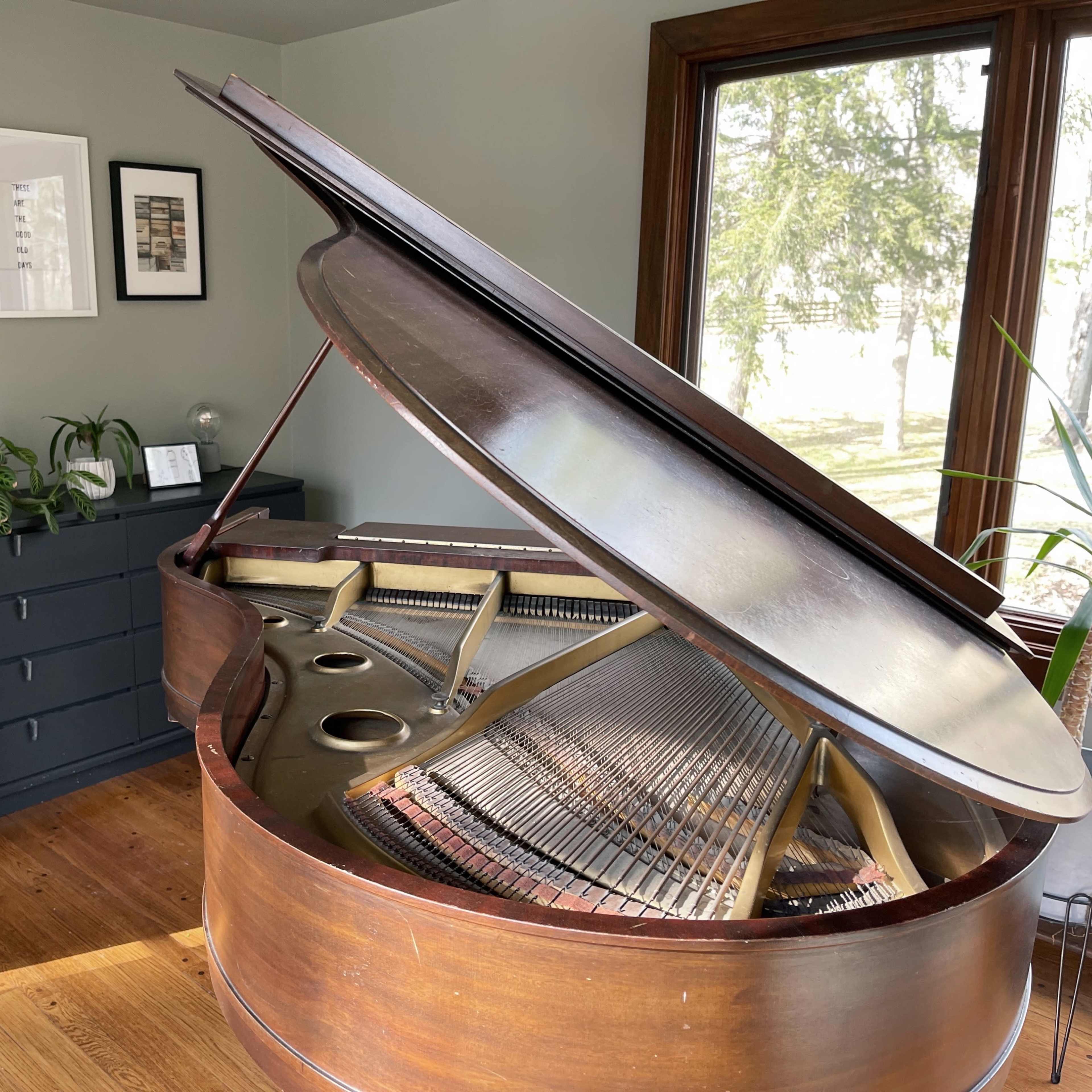 A grand piano with its lid open is positioned beside a dark dresser in a room featuring framed artwork on the wall and plants.