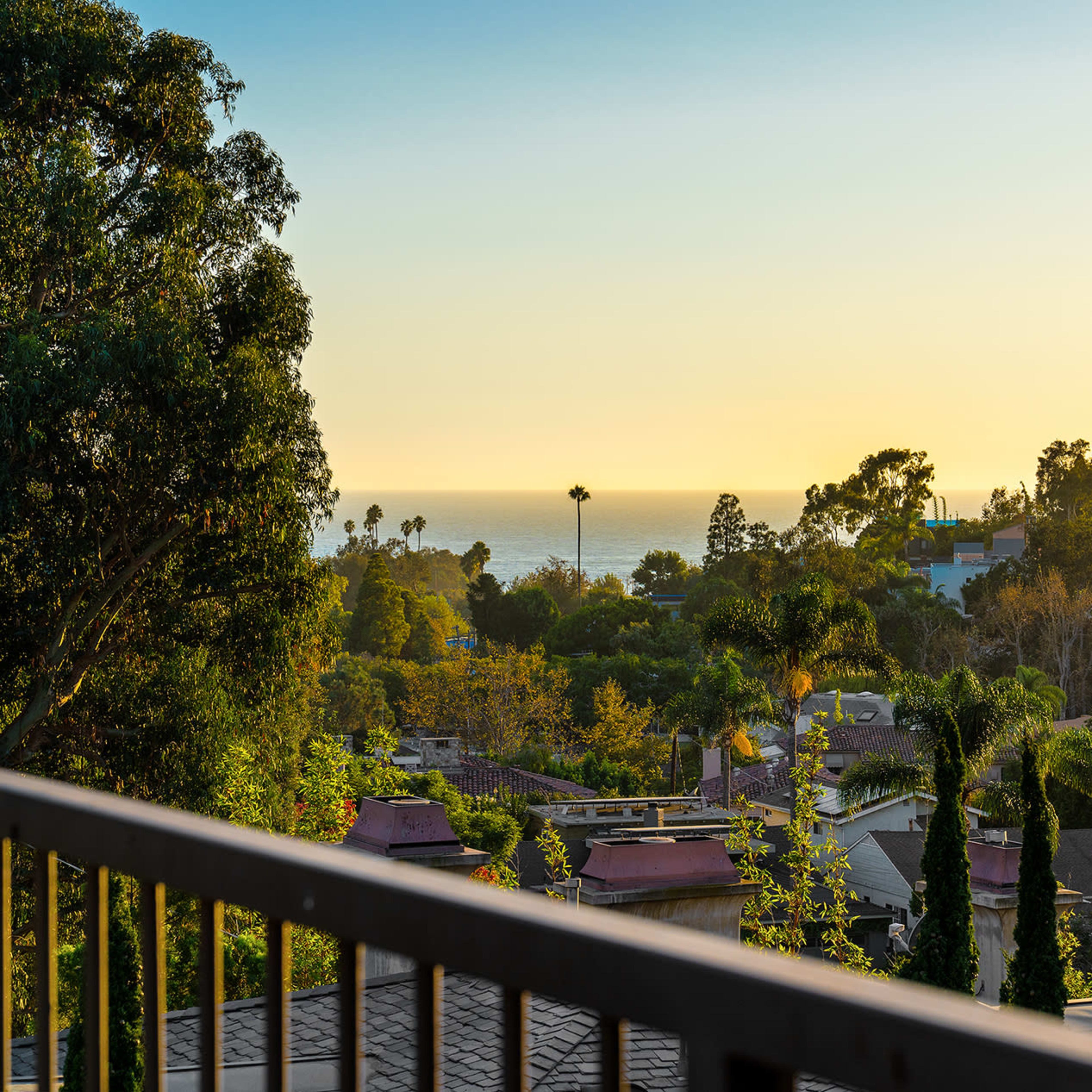 A coastal view at sunset, framed by trees and residential rooftops.