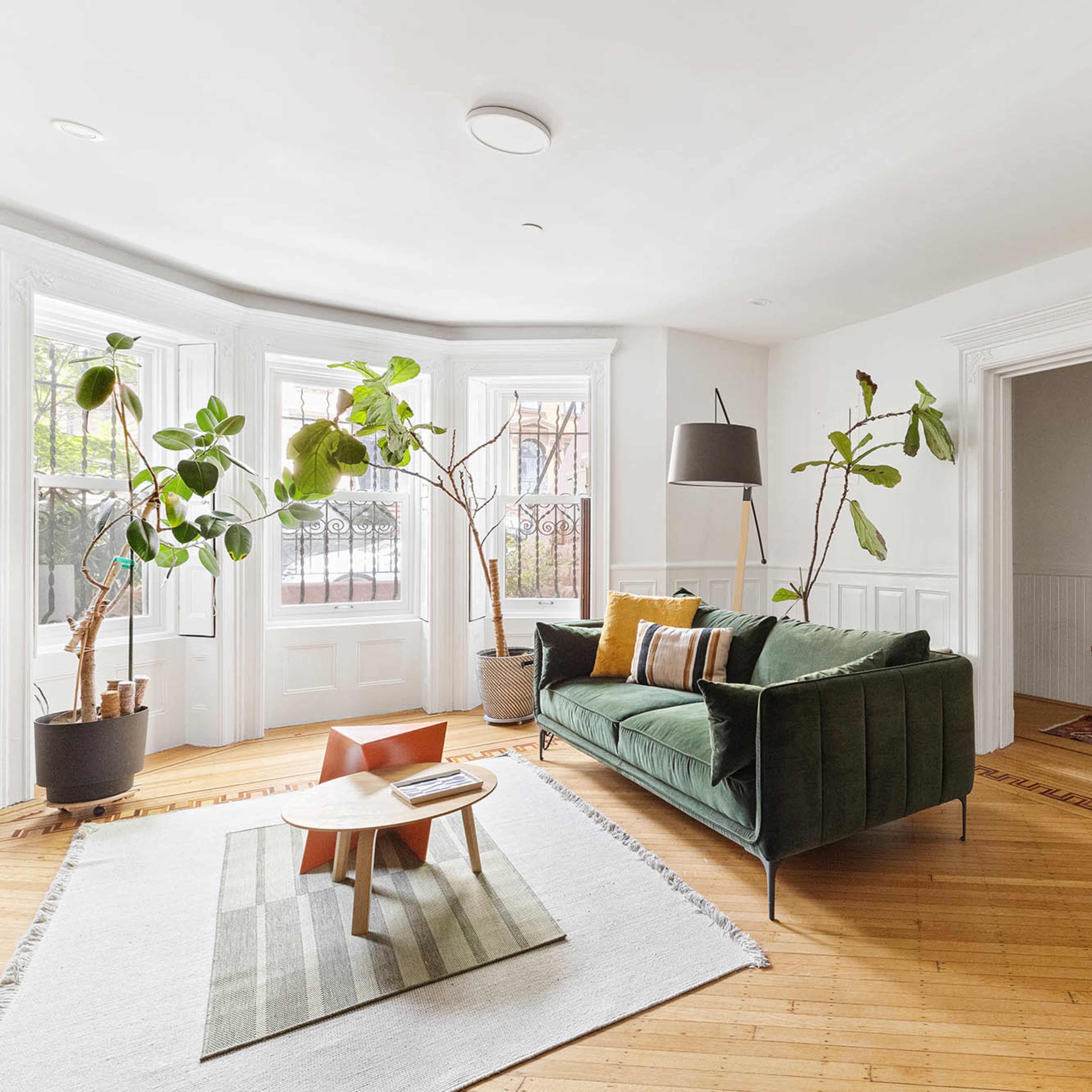 A bright living room with a green couch, a coffee table on a rug, and large plants near bay windows.