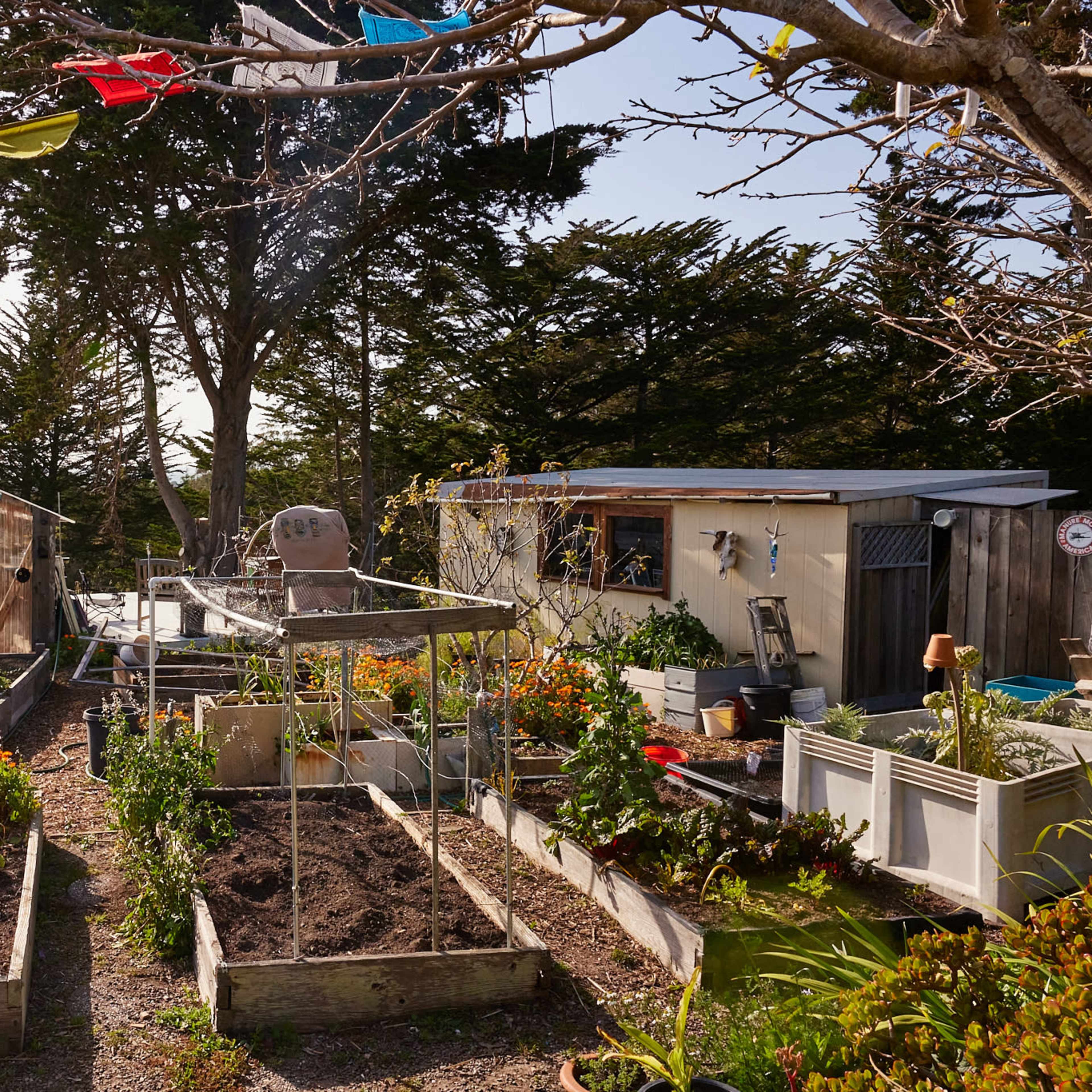 A well-organized garden with raised beds of vegetables, a small greenhouse, and a shed, surrounded by trees and decorative flags.