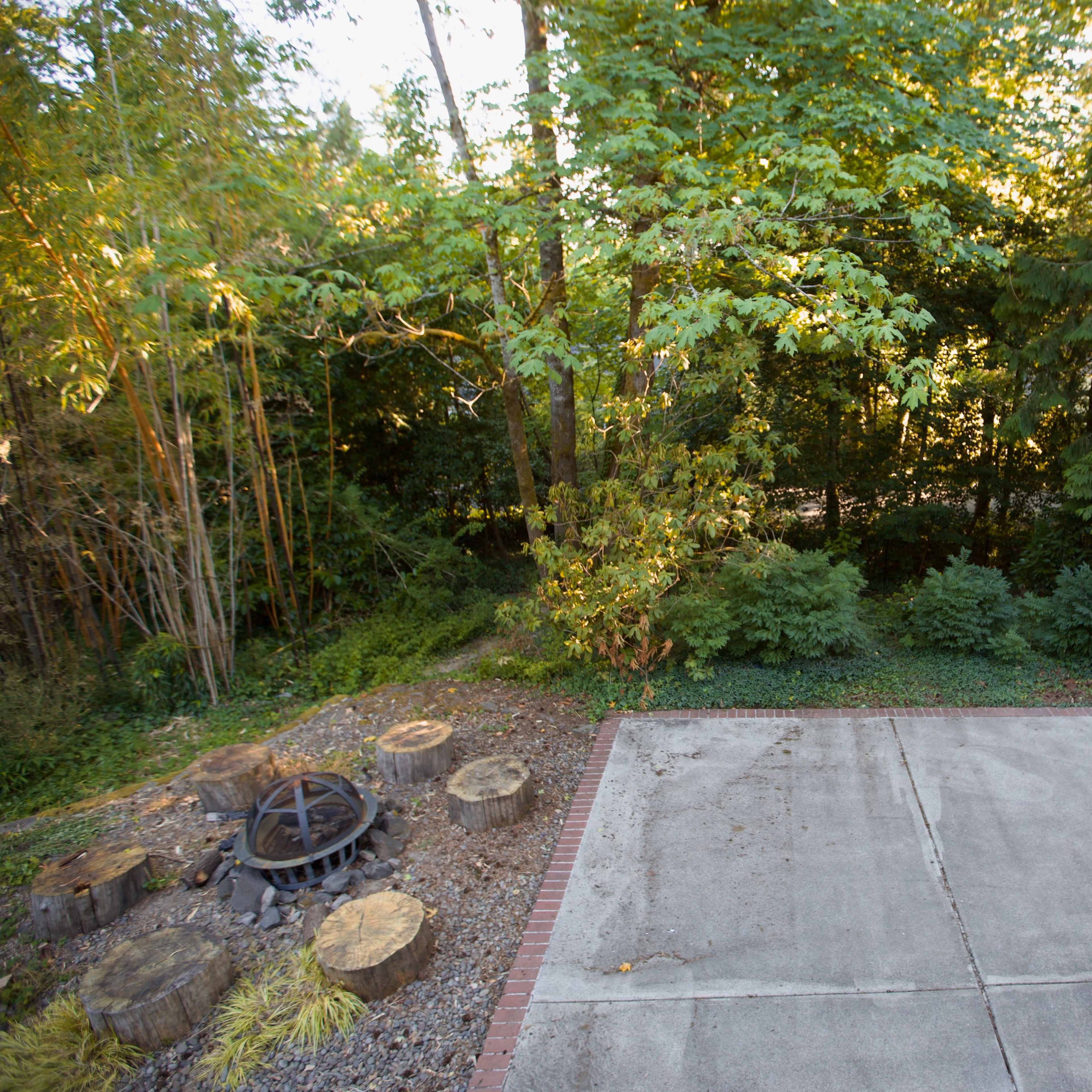 A wooden basketball hoop stands beside a concrete court, bordered by dense trees and shrubbery.
