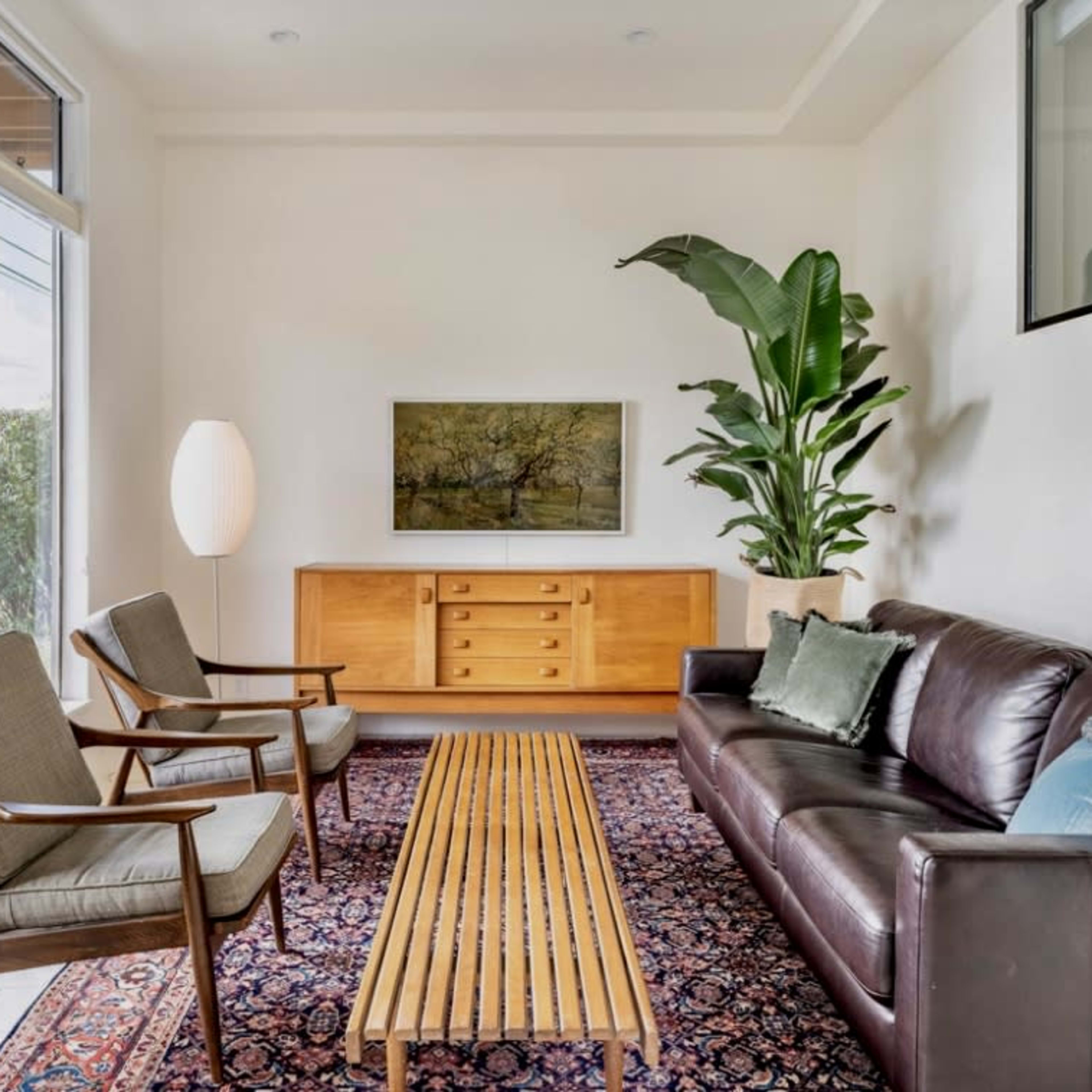 A well-lit living room features a leather sofa, two wooden chairs, a striped coffee table, and a large plant beside a cabinet and an artwork on the wall.