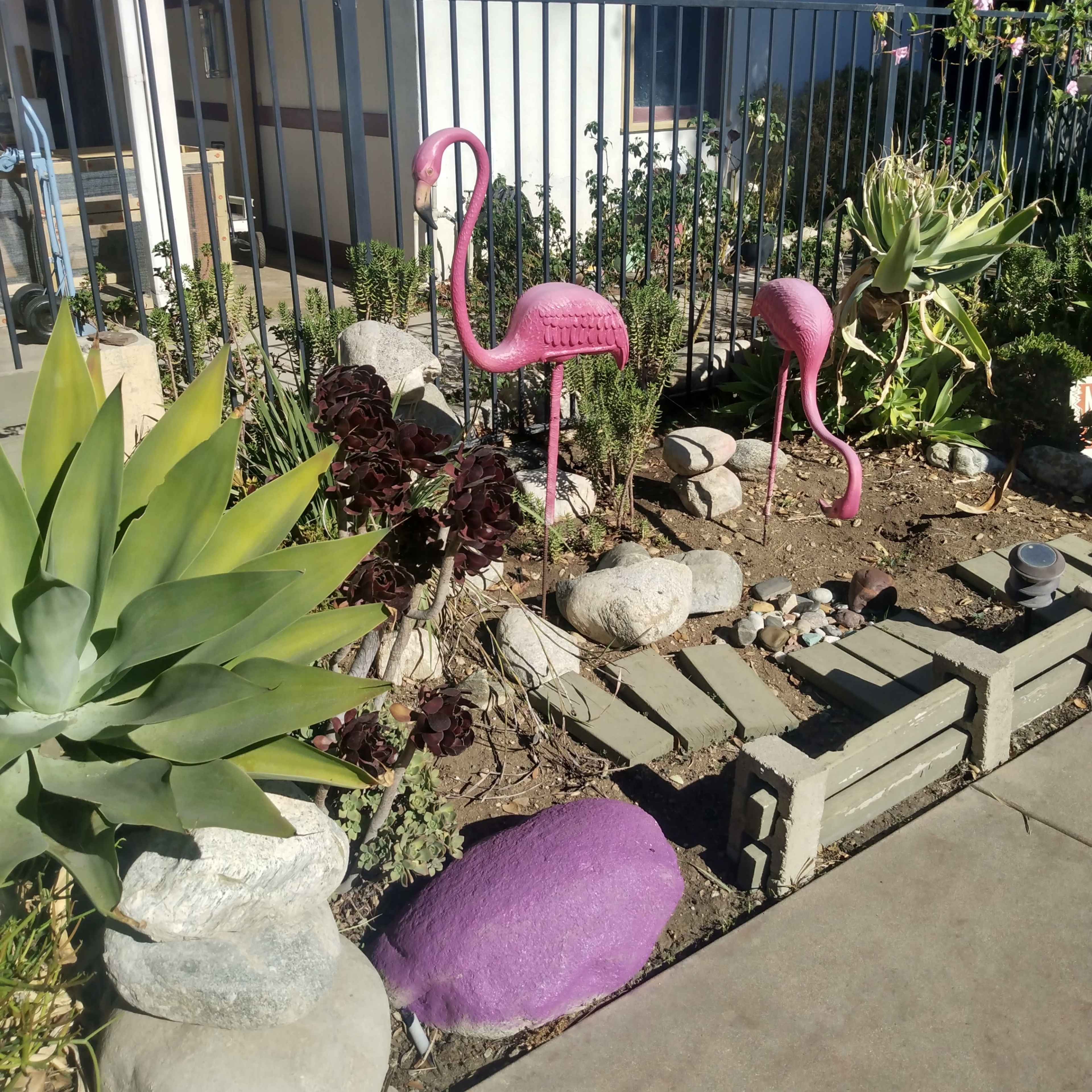 The scene features two pink flamingo lawn ornaments in a garden with stones and green plants.