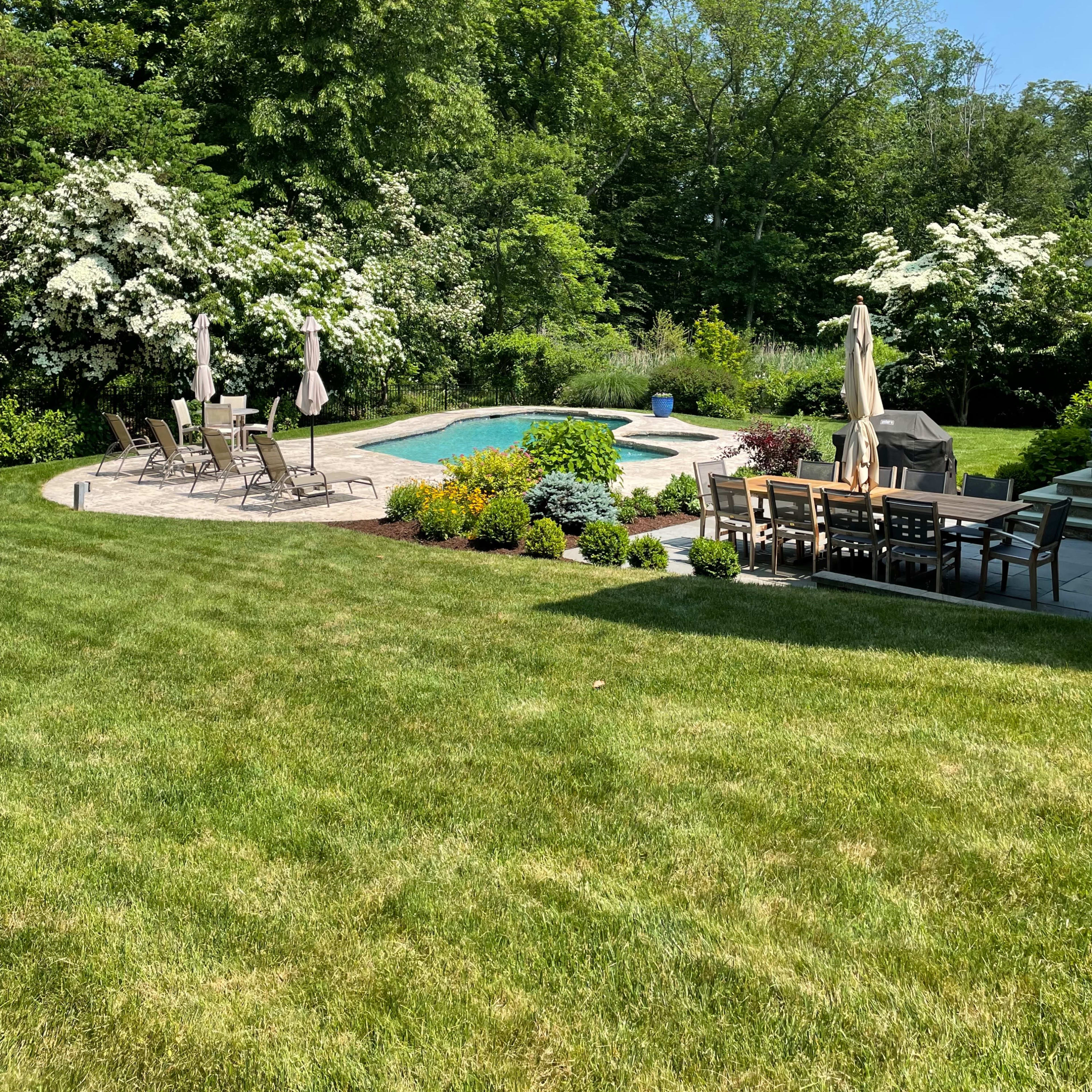 A well-maintained backyard featuring a swimming pool surrounded by lounge chairs and dining furniture, framed by lush green trees and blooming shrubs.