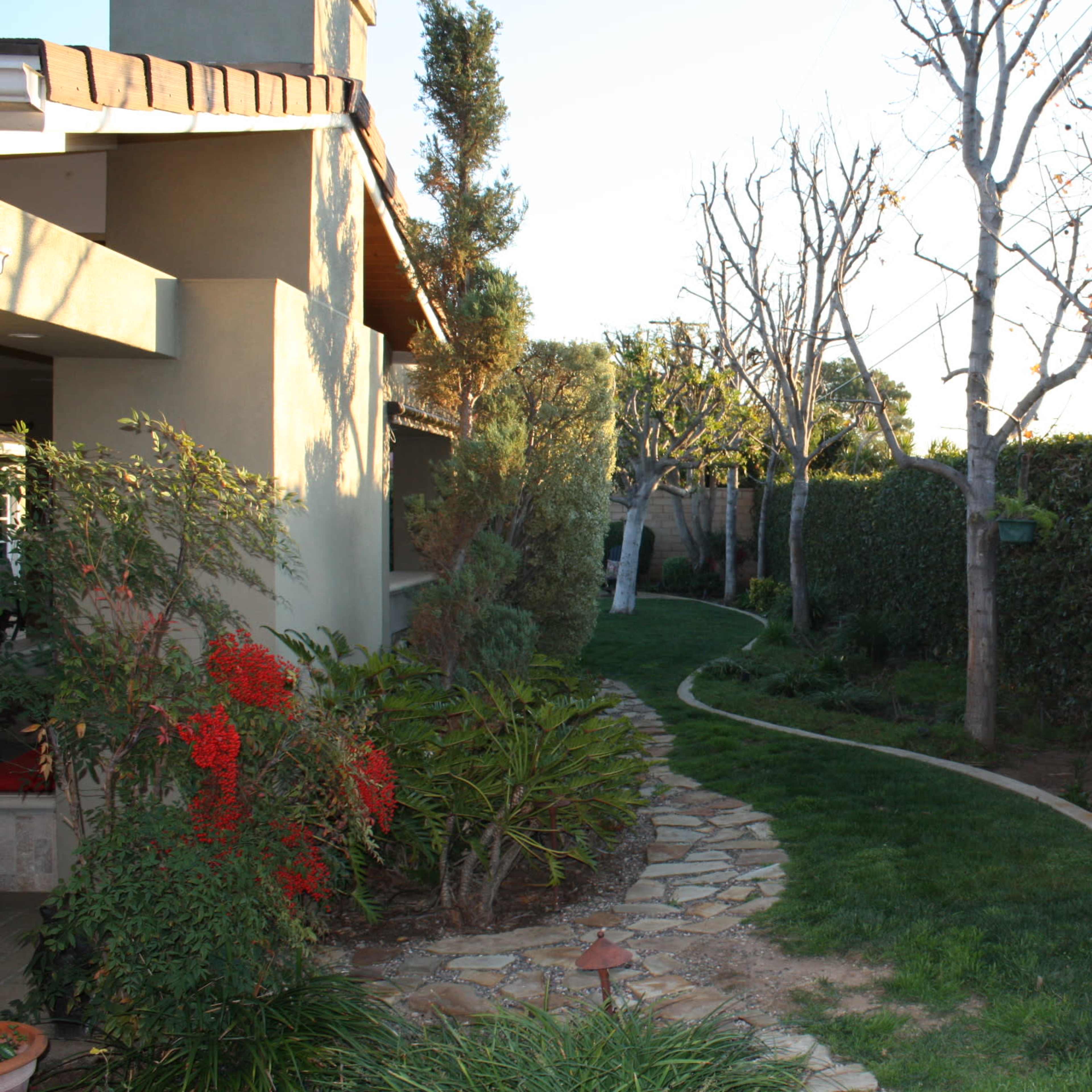 A stone pathway winds through a garden lined with bare trees and a tall hedge.