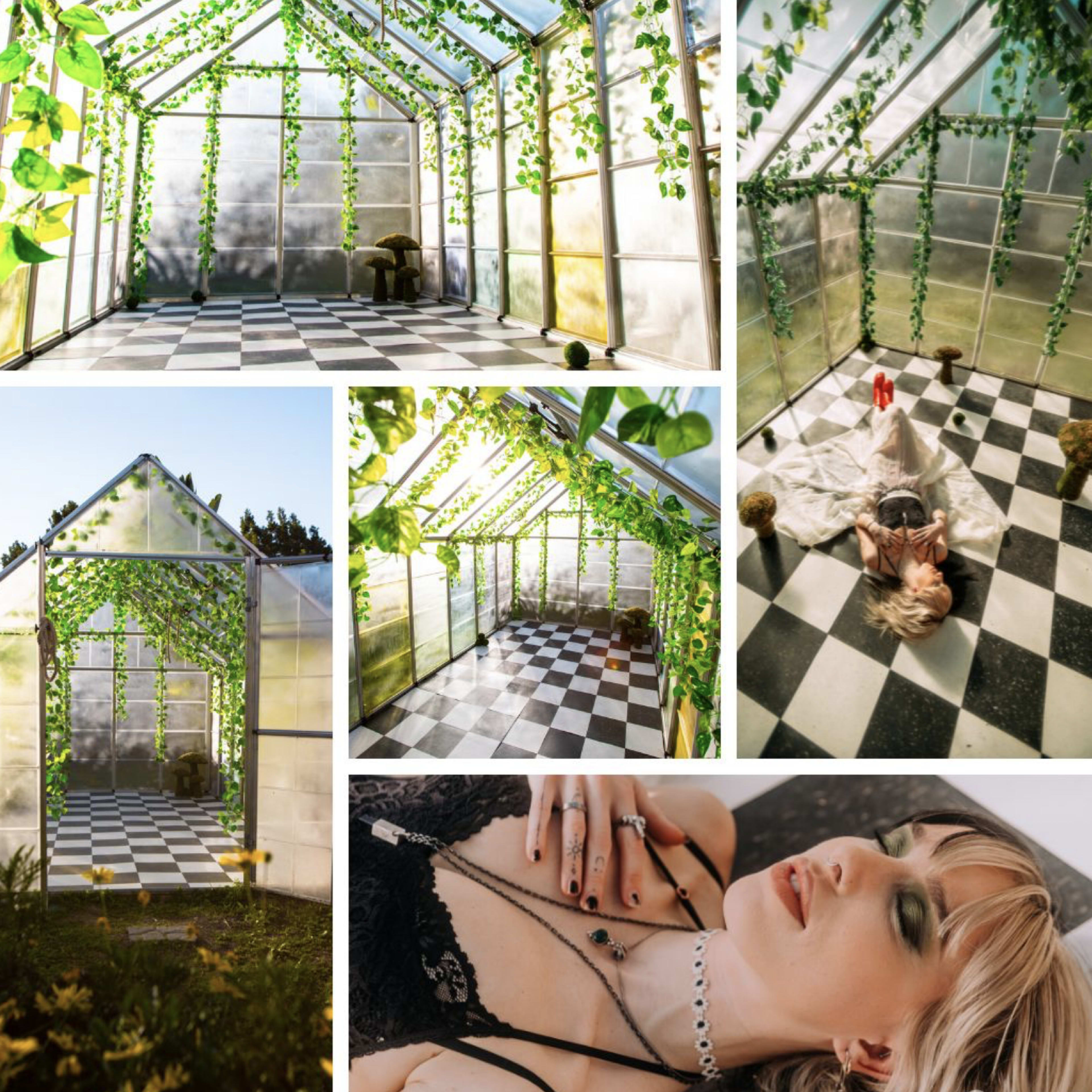 A greenhouse with a checkered floor, adorned with hanging plants and sunlight streaming through its transparent walls.