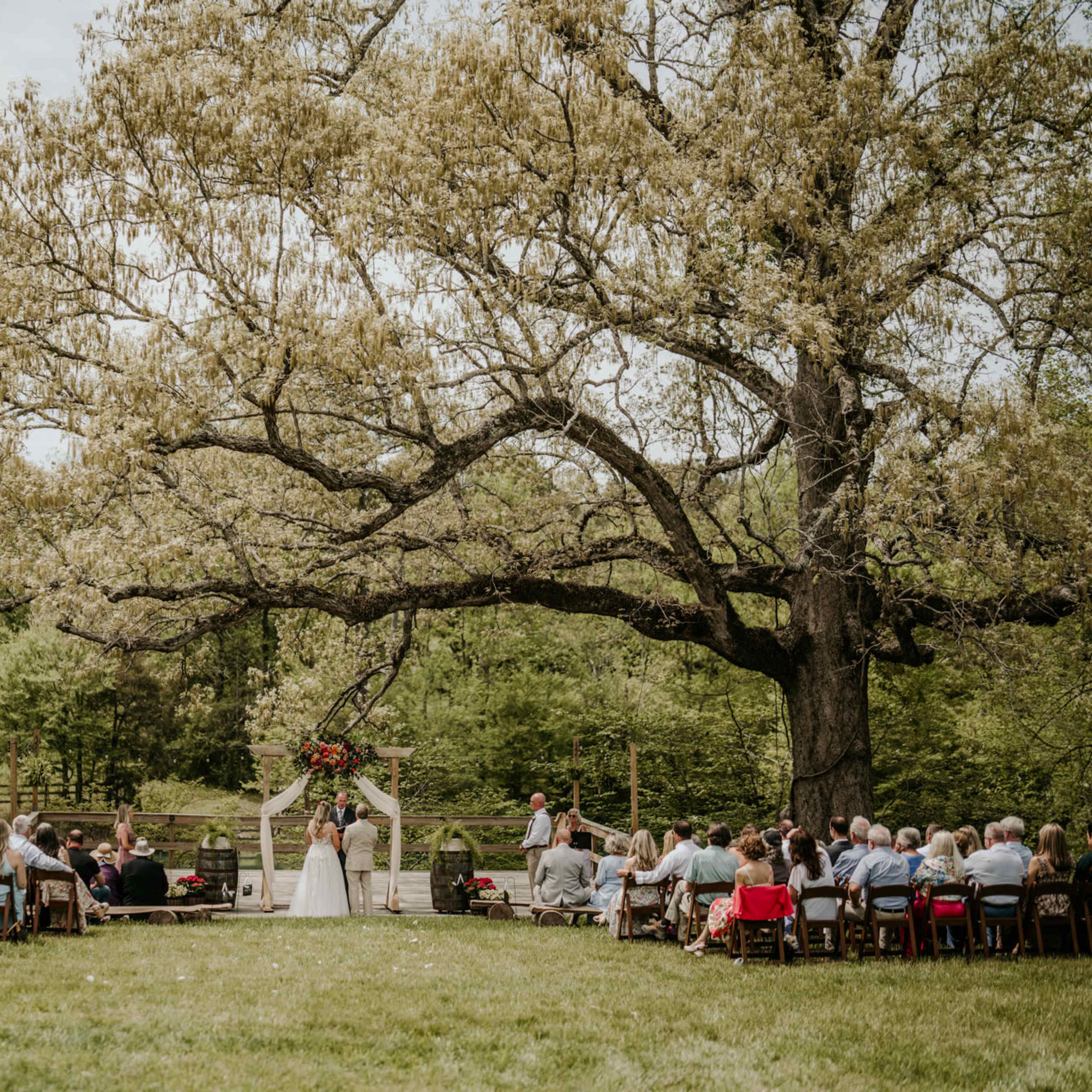 Historic farm with pond, 187 year old Oak tree and original buildings from the 1800s Image in , Dawsonville, GA