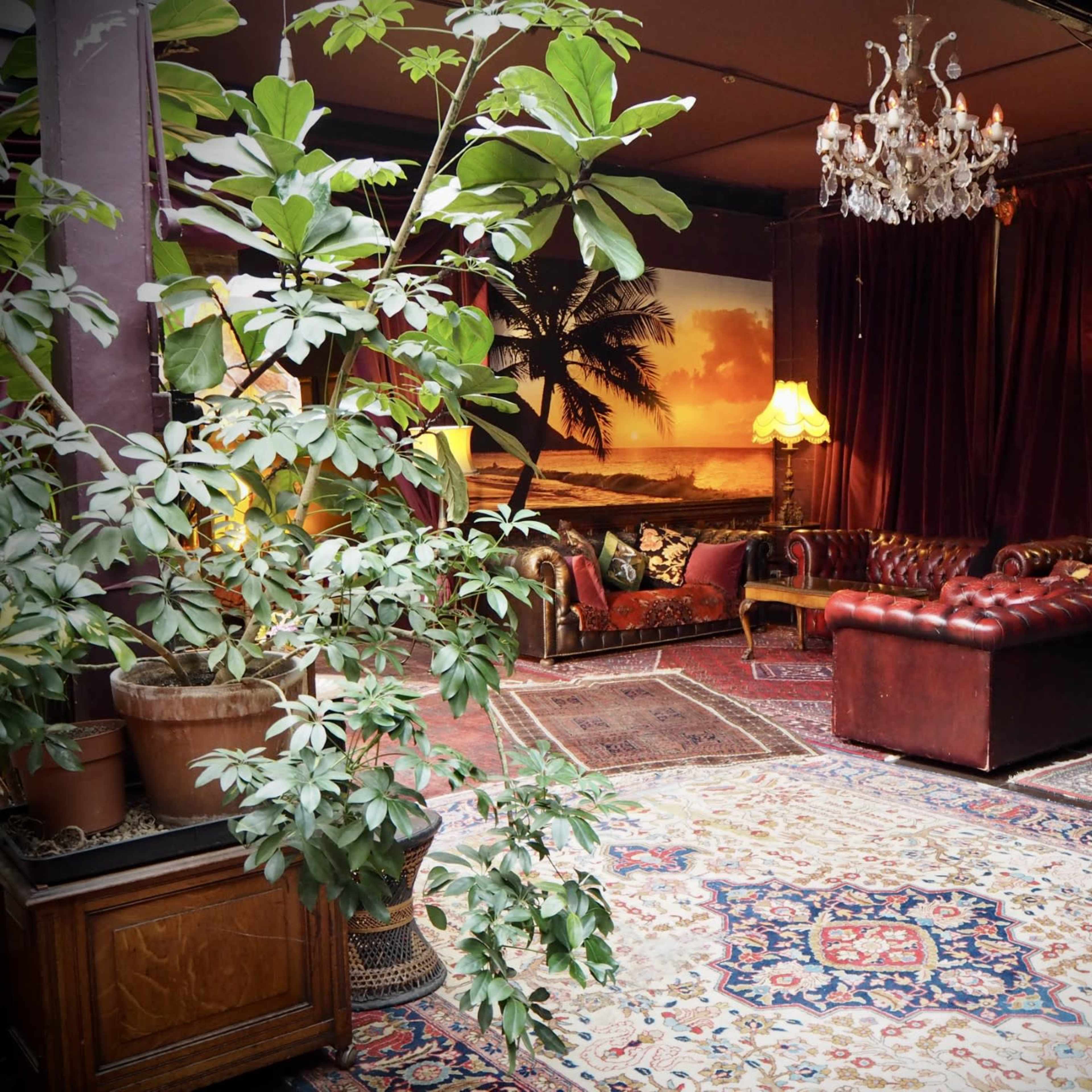 The scene features a cozy lounge with a large chandelier, a velvet backdrop, vintage furniture, and a potted plant amidst ornate rugs and soft lighting.