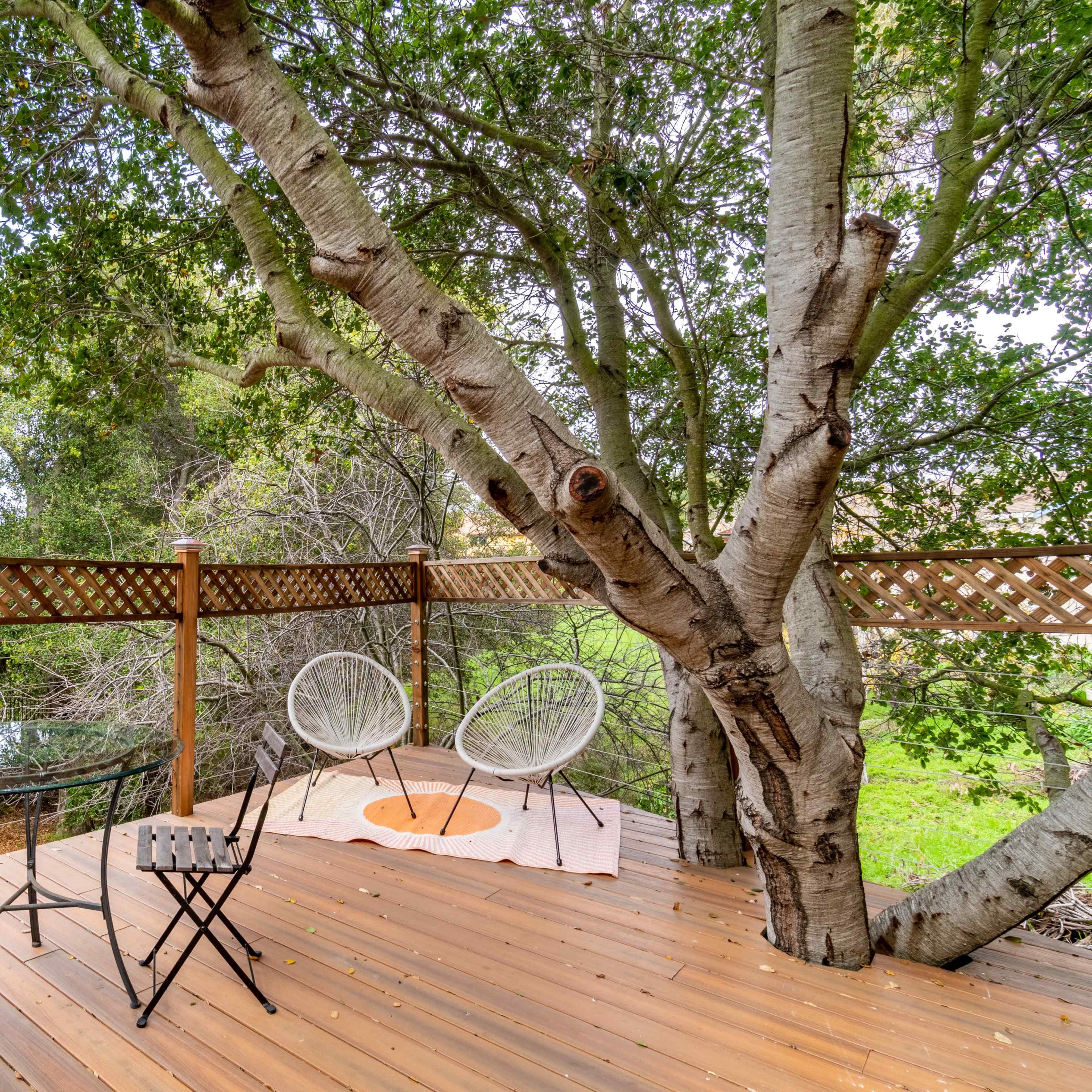 A wooden deck features two chairs and a small table, with a large tree growing nearby and greenery in the background.