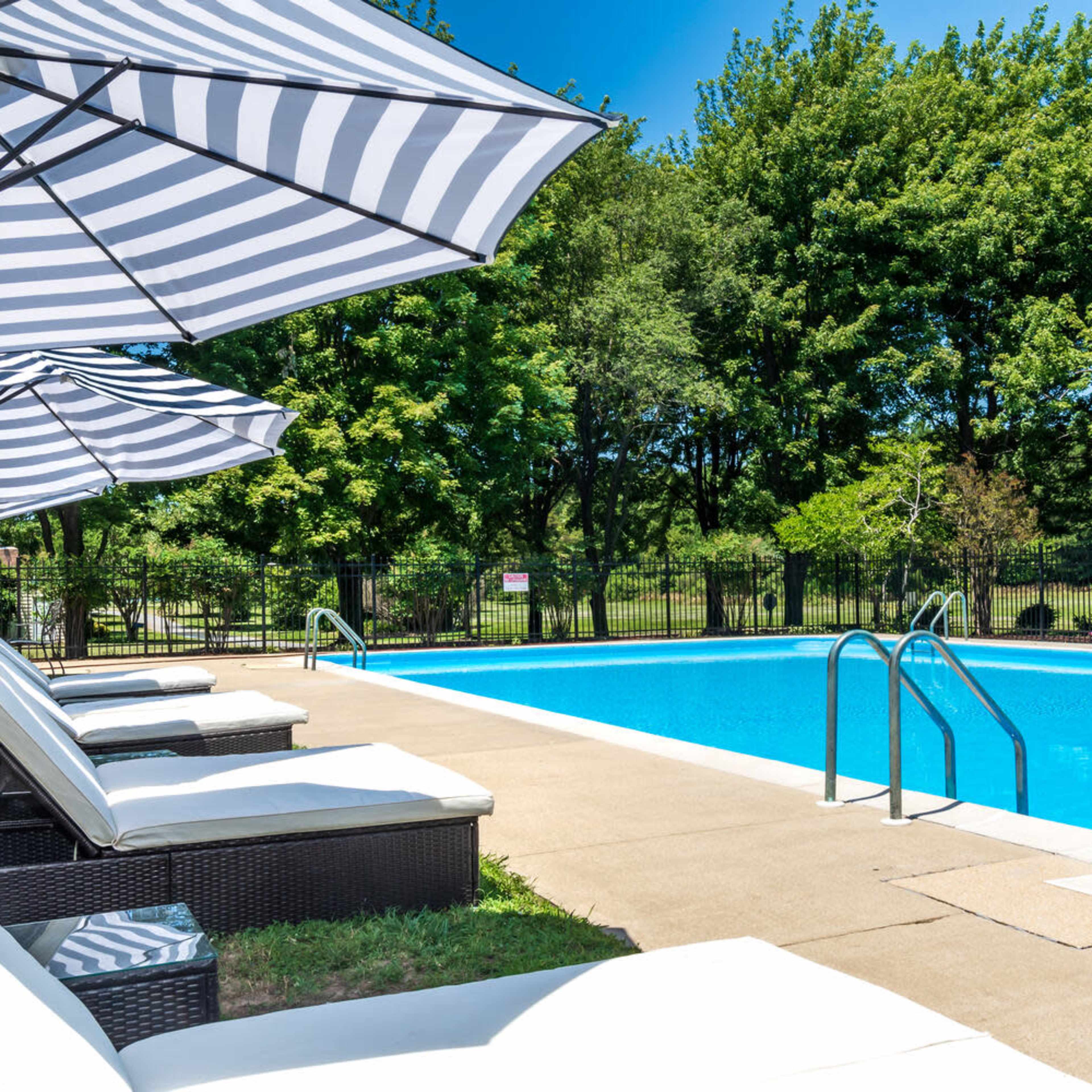 A swimming pool lined with lounge chairs and striped umbrellas is surrounded by green trees and a clear blue sky.