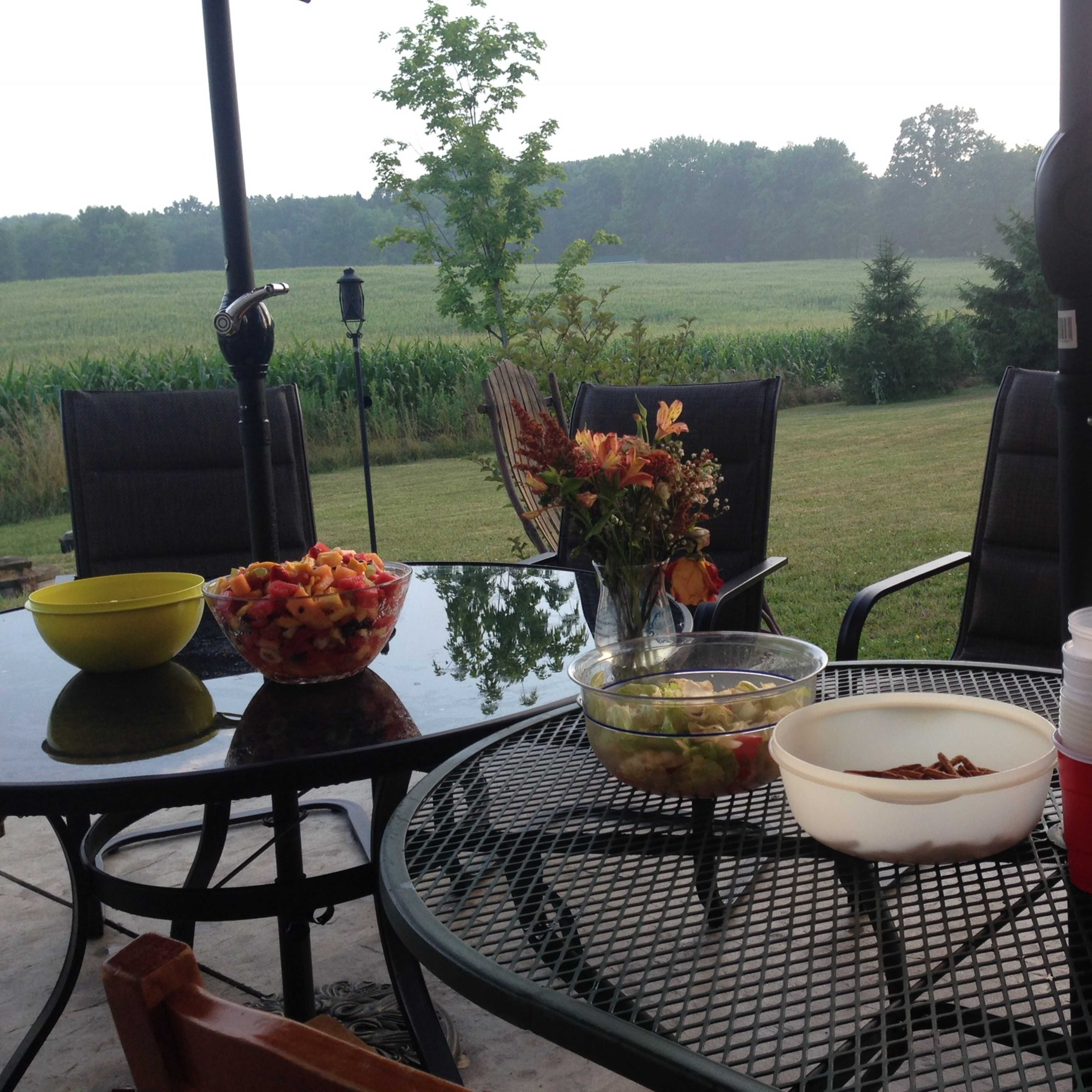 A patio table is set with bowls of fruit, a vase of flowers, and drinks, overlooking a green field and trees.