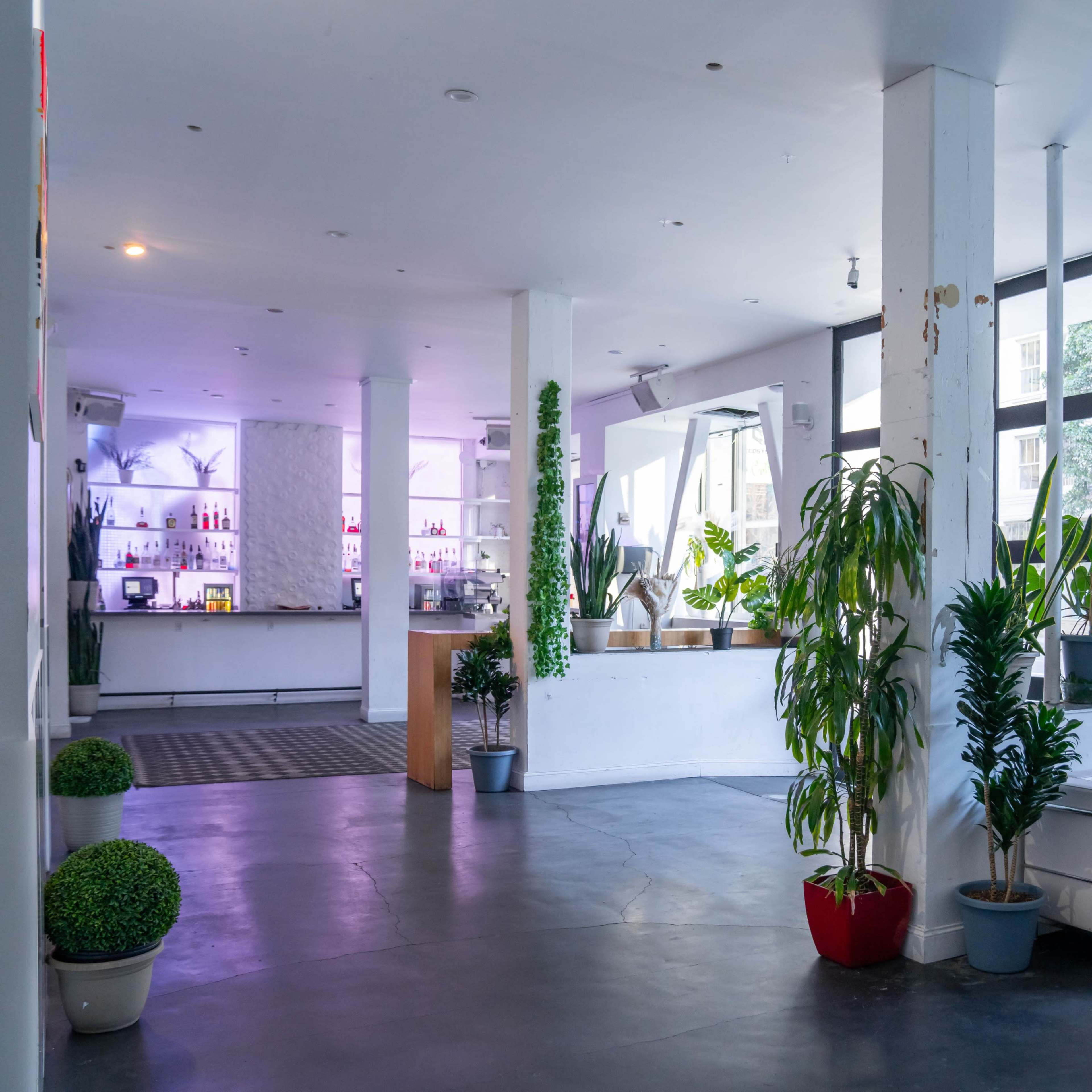 A spacious interior with a white sofa, potted plants, and a bar area illuminated by soft lighting.
