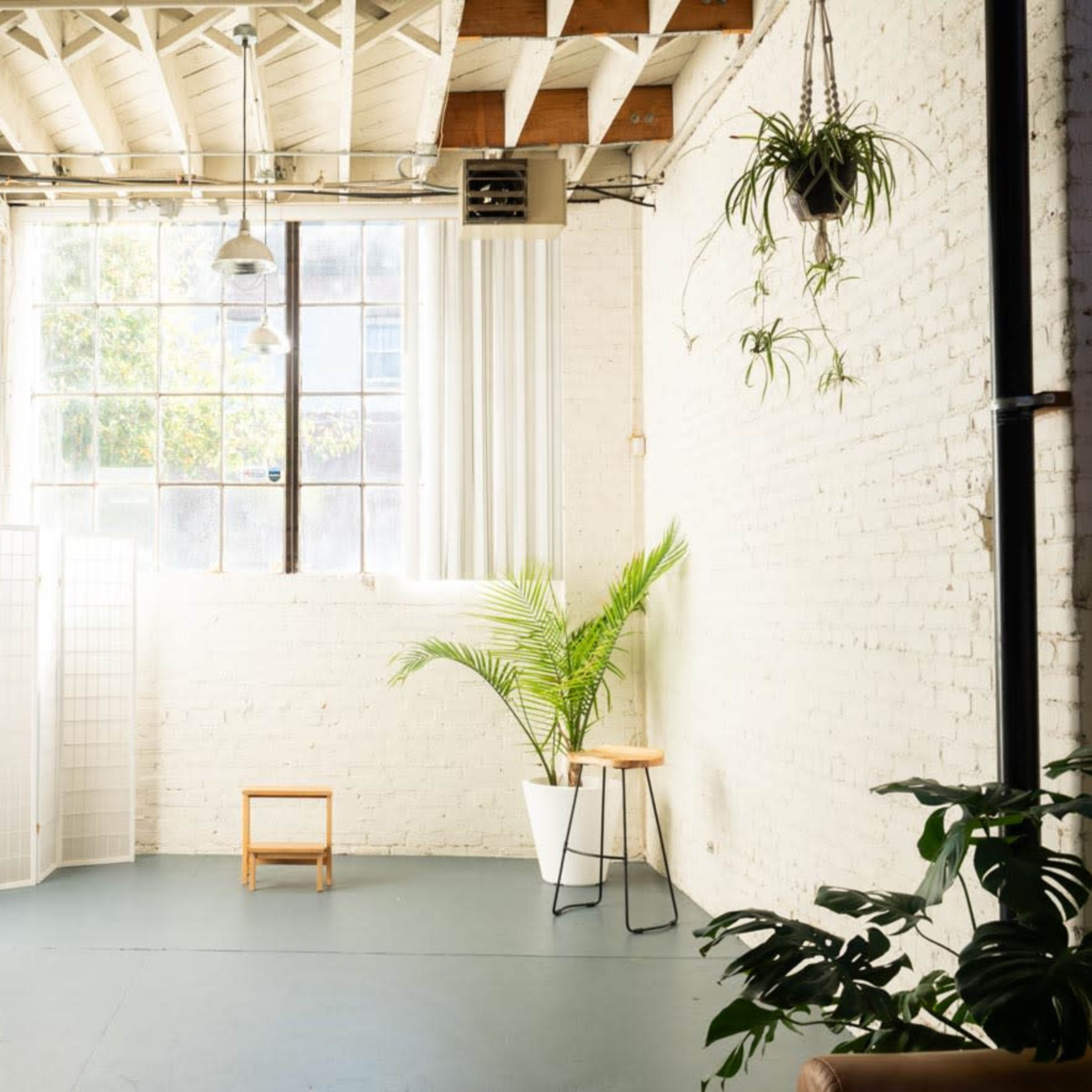 A spacious, well-lit room with a large window, a potted plant, a small stool, and a folding screen against a white brick wall.