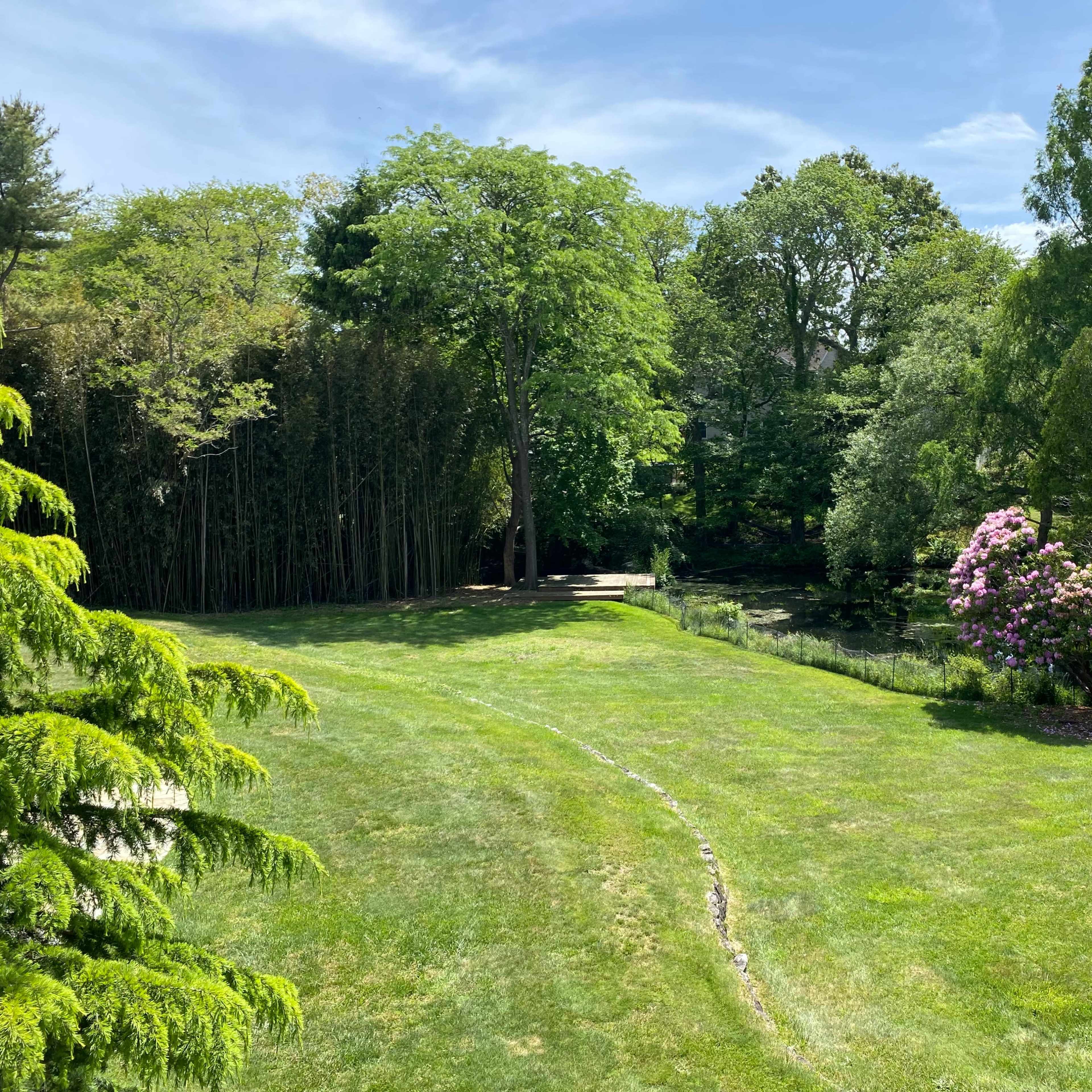 A verdant landscape featuring a grassy area bordered by trees and a pond, with blooming pink flowers in the foreground.