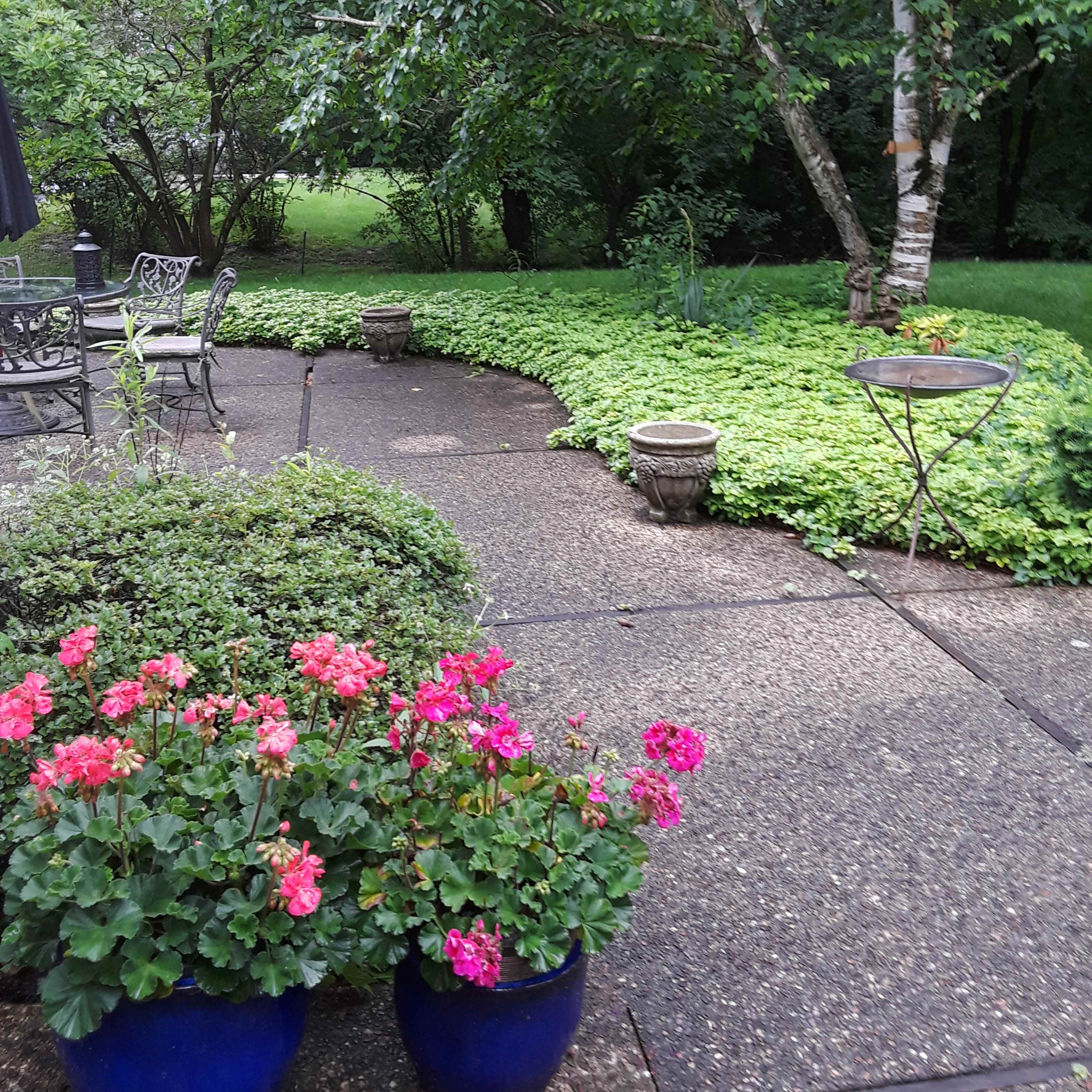 A garden area with a paved walking path, planters with pink flowers, and a lawn surrounded by greenery.