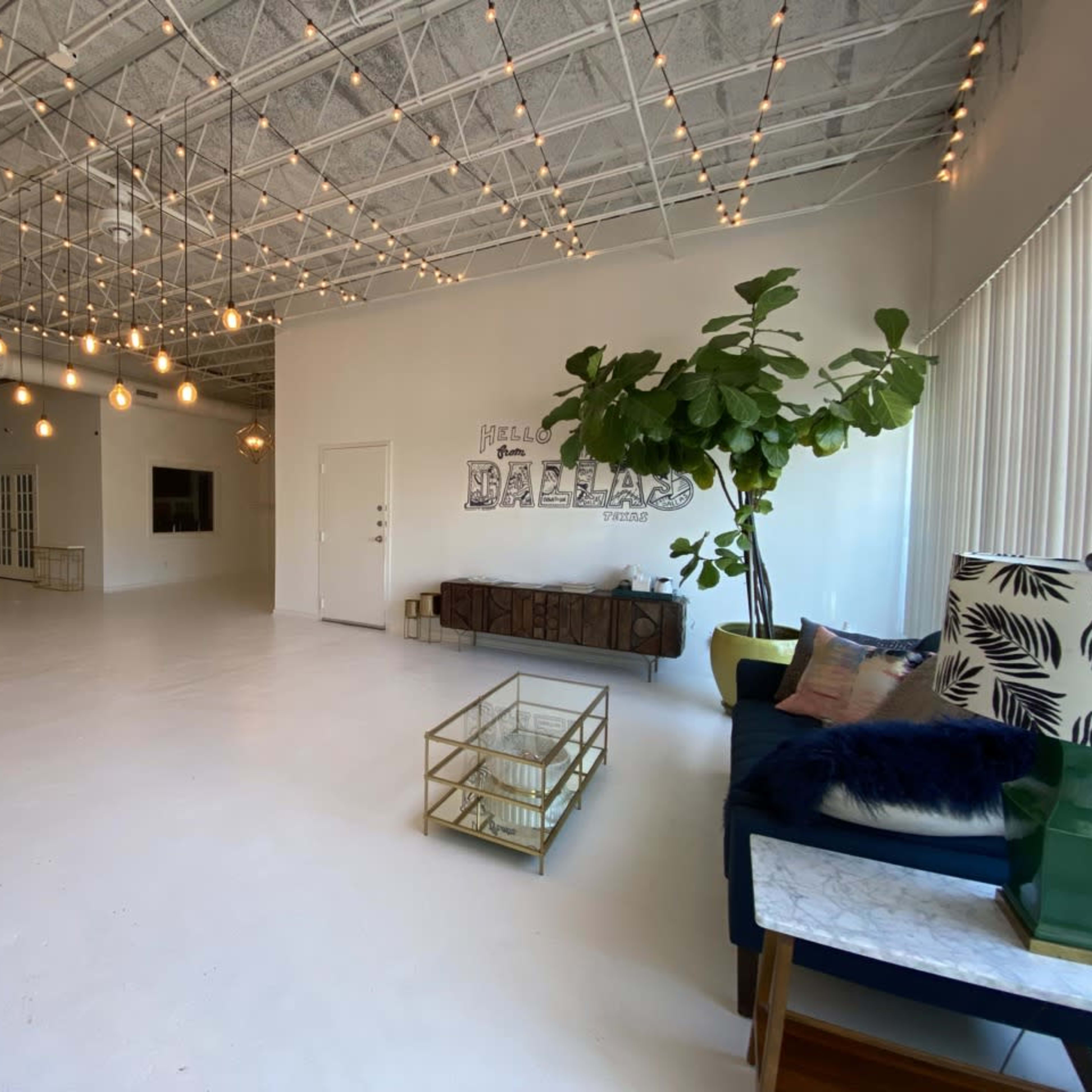 A bright, spacious room with white walls, wooden furniture, pendant lights, and a large indoor plant.