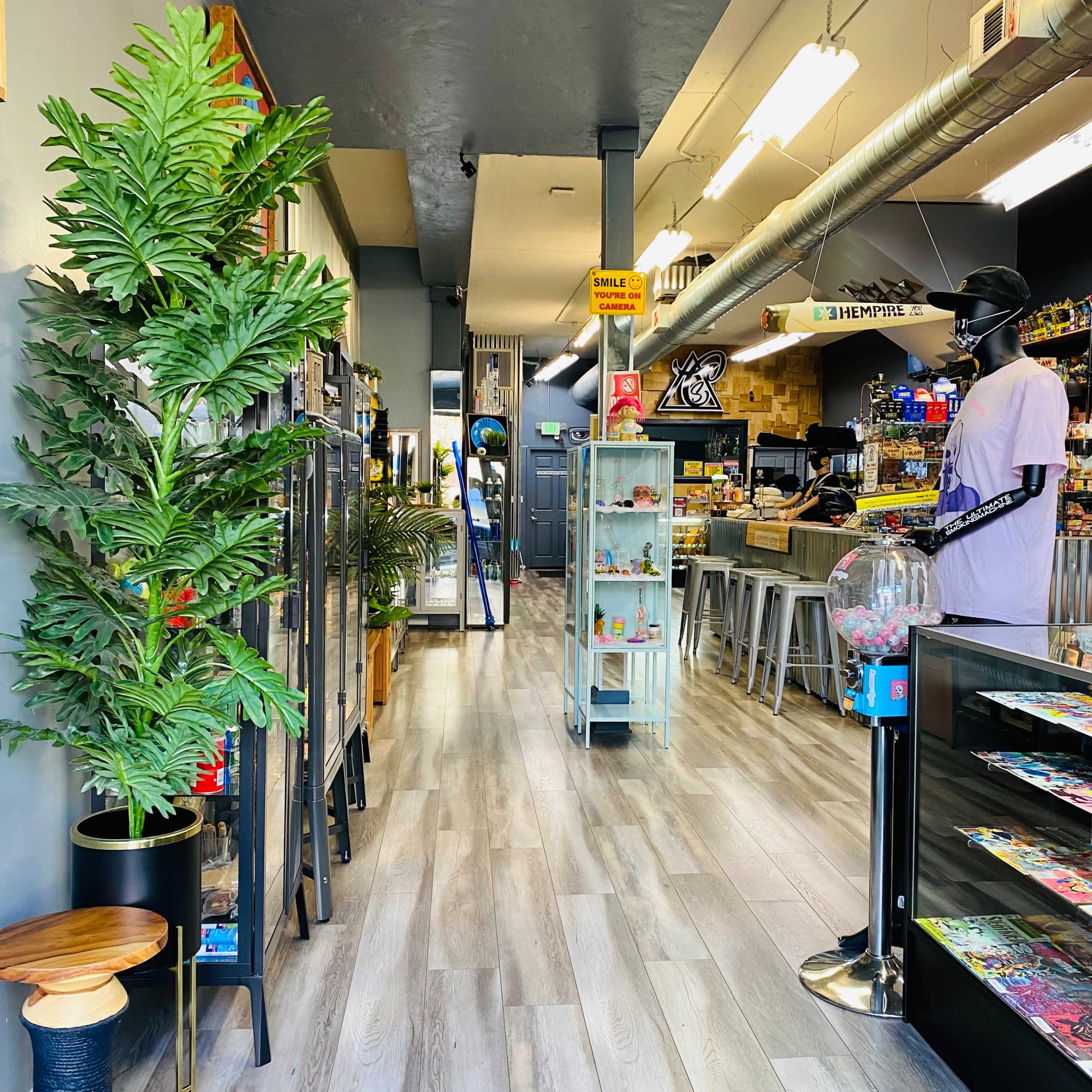 The interior of a retail shop features display cases and merchandise along a narrow aisle flanked by plants and seating.