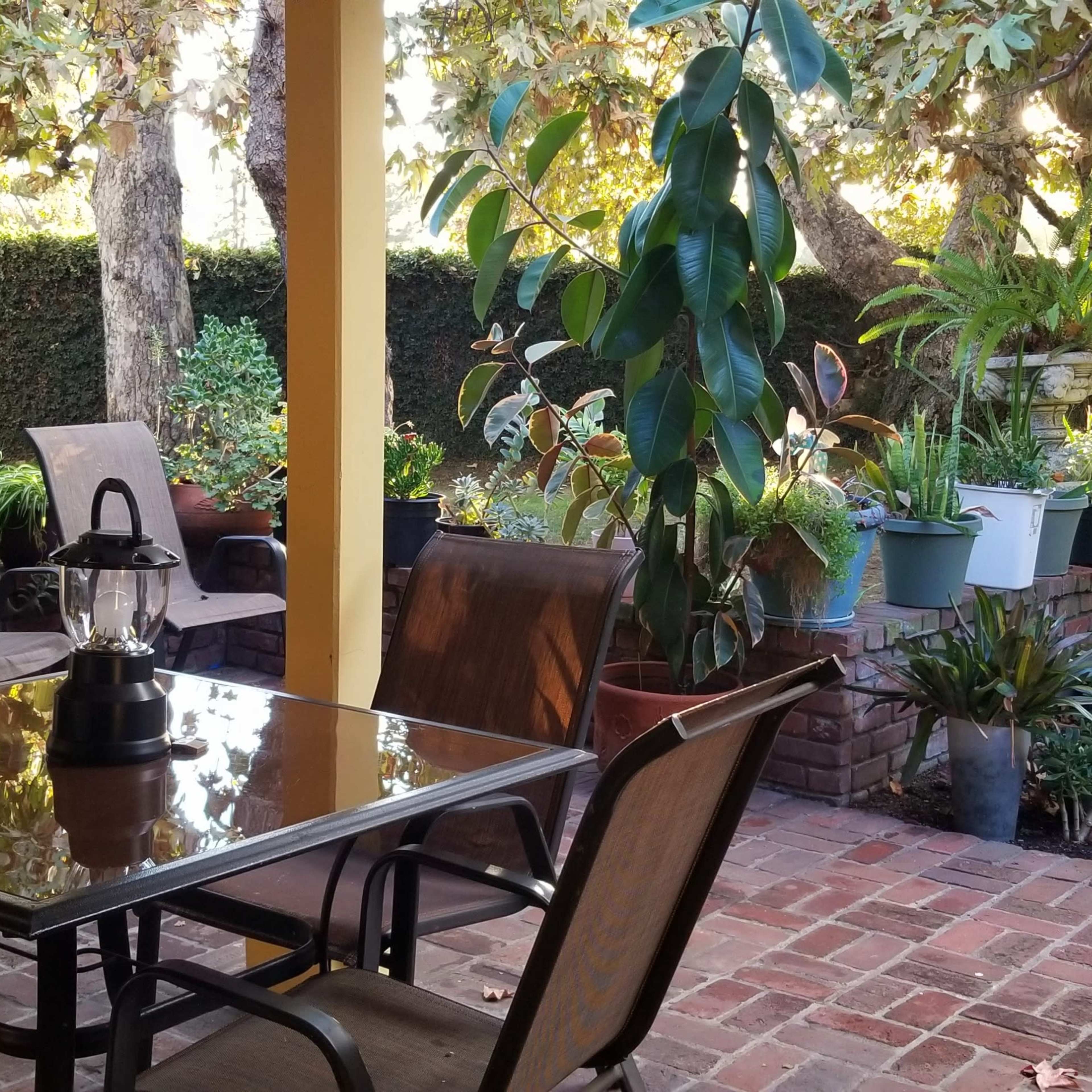 A patio area features a glass-top table with metal chairs, surrounded by potted plants and a grill, under yellow columns and leafy trees.