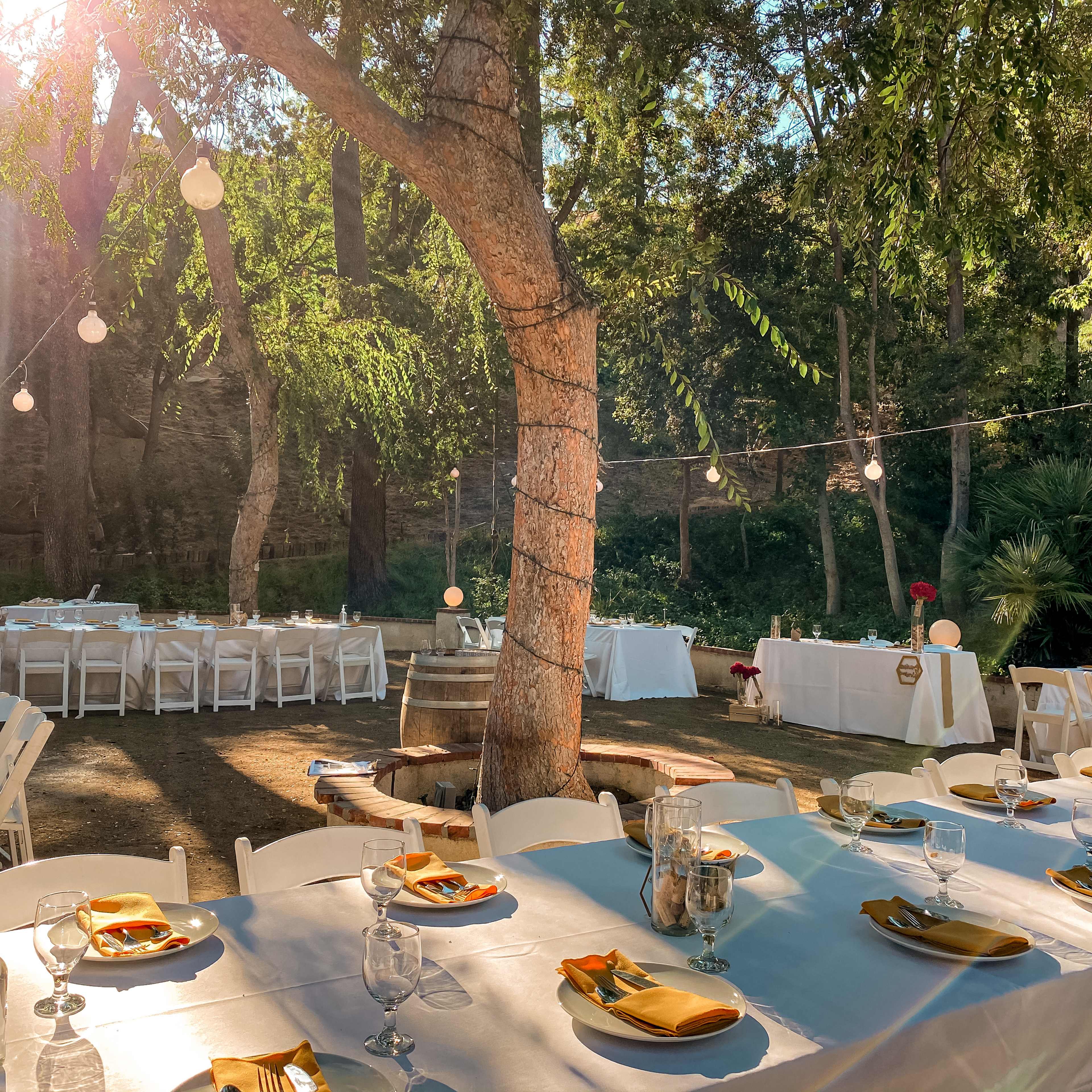 A rustic outdoor dining setup features neatly arranged tables with white linens under a tree, illuminated by hanging lights.