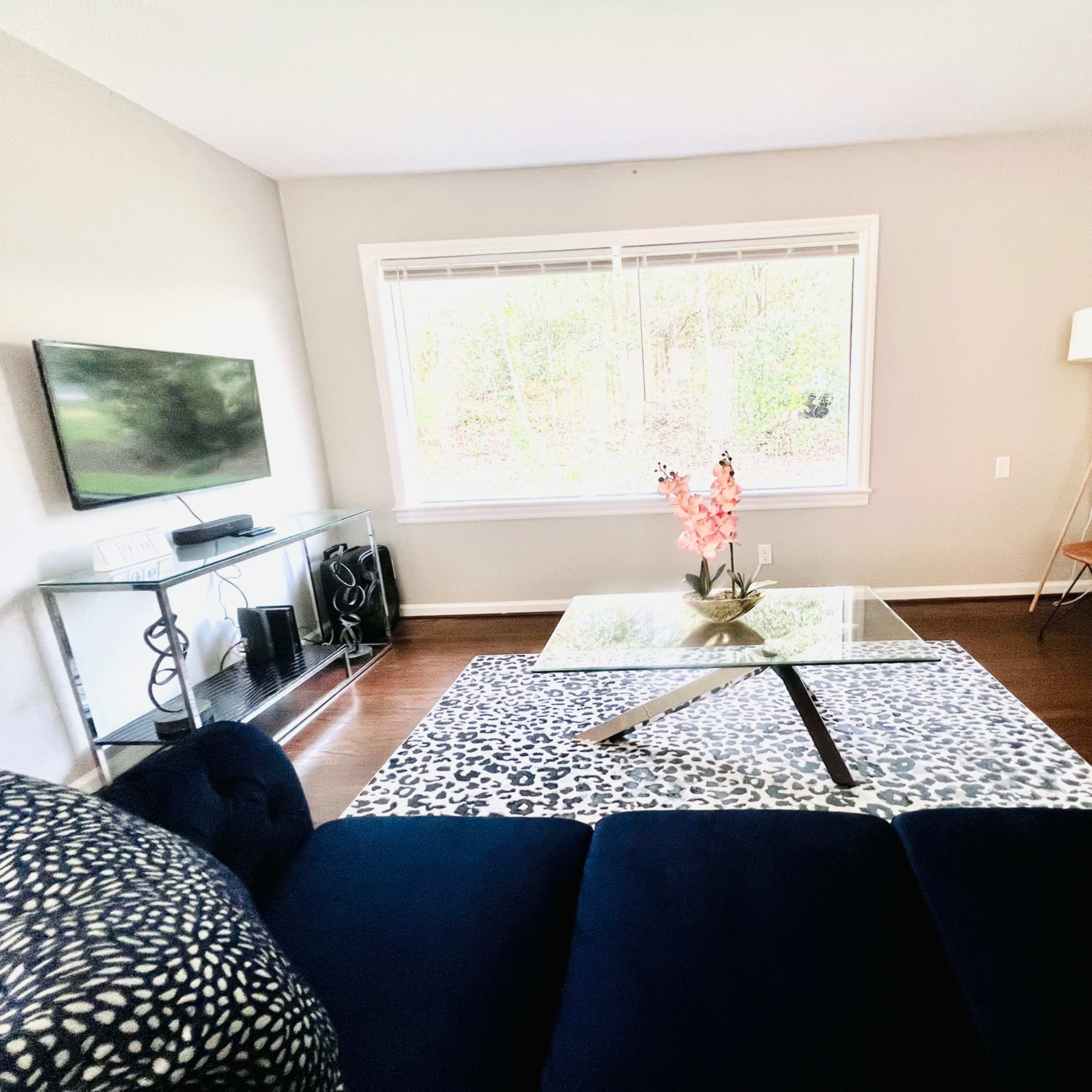 The living room features a glass coffee table on a patterned rug, a large window allowing natural light, a television, and modern seating arrangements.
