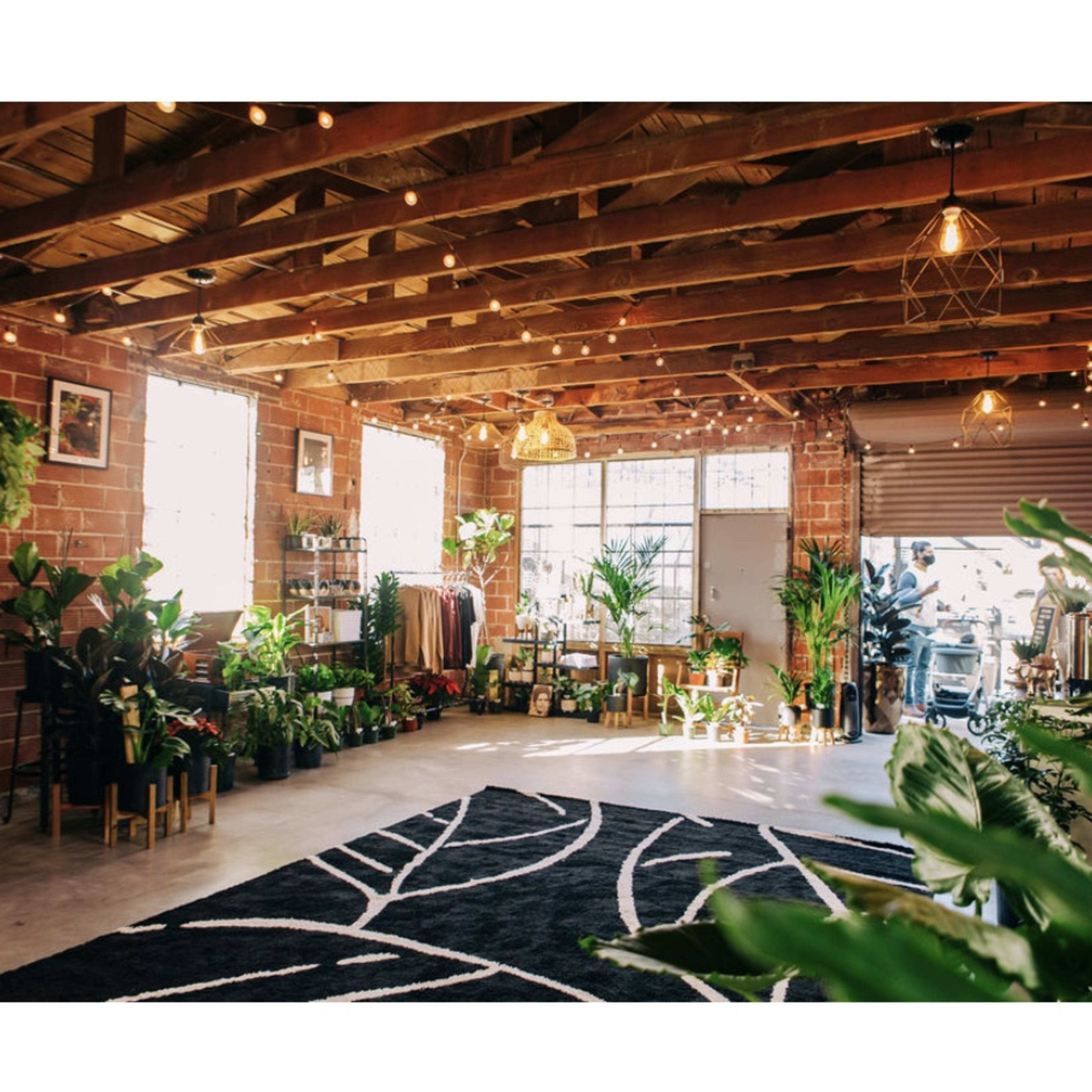 A spacious shop with exposed brick walls, wooden beams, and various plants arranged throughout the room, alongside clothing racks and decorative lighting.