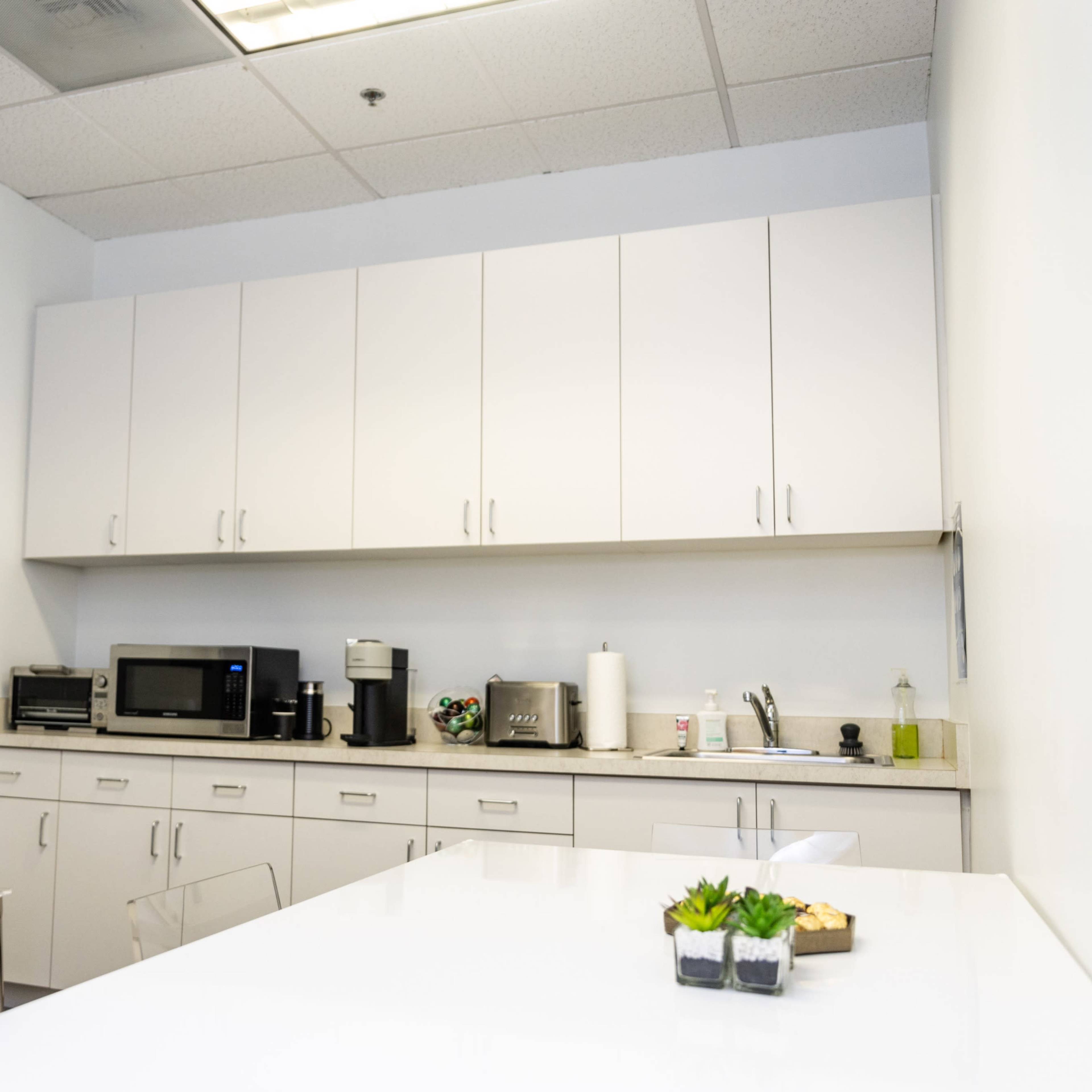 A modern kitchen space features white cabinets, a stainless steel refrigerator, a microwave, and a counter with succulent plants.
