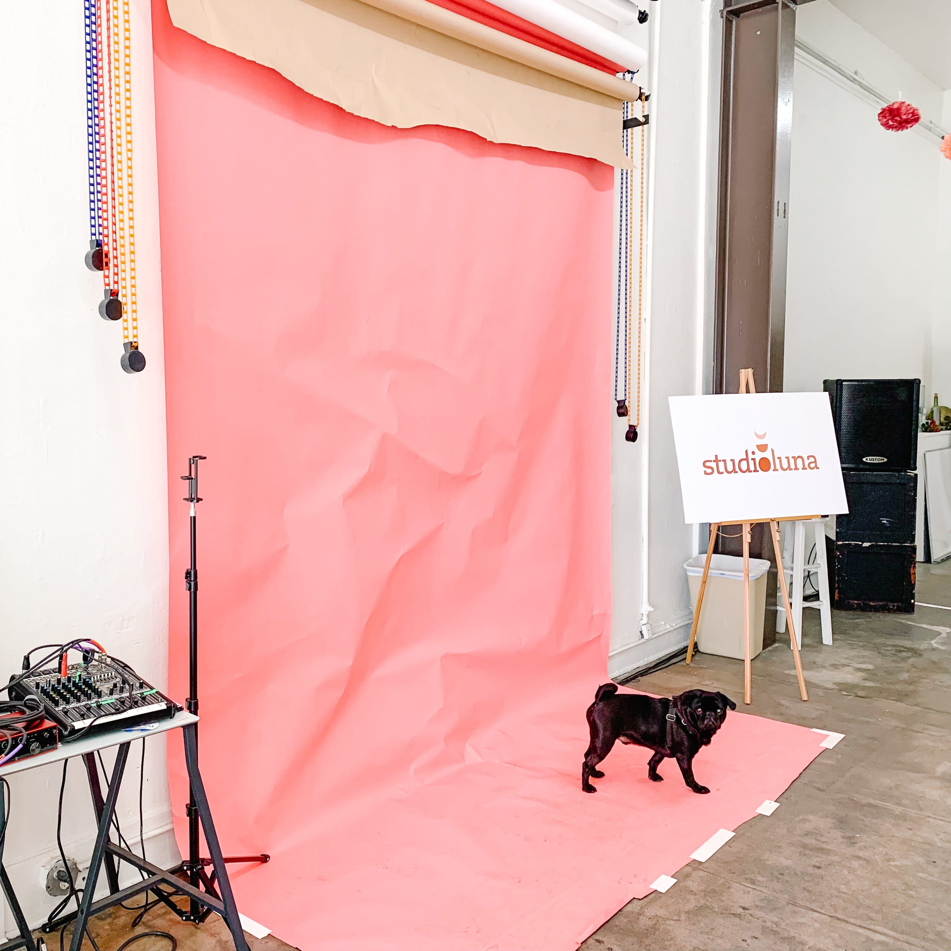 A small black dog stands in front of a pink backdrop, next to a sound mixing board and a sign that reads "studio luna."