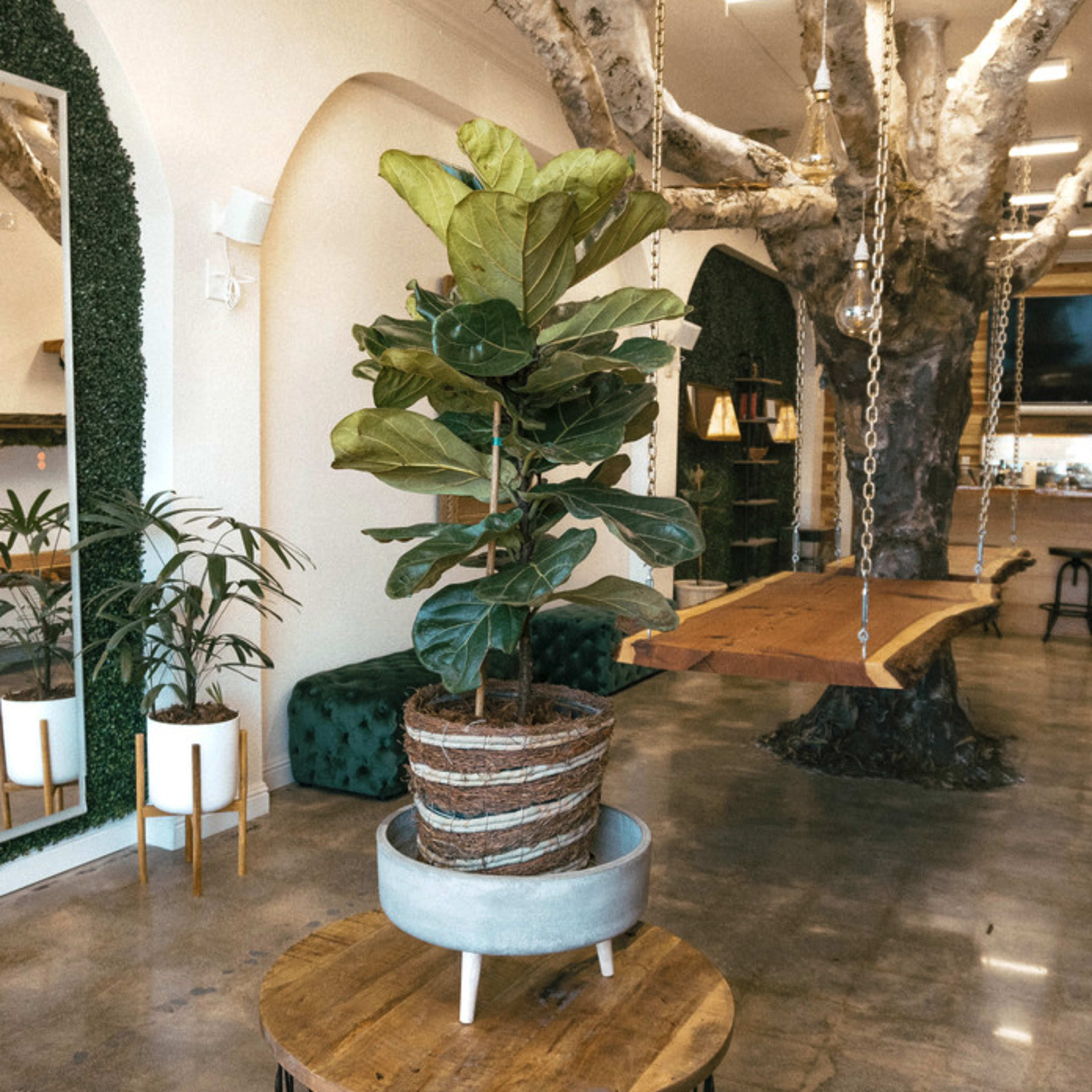 The scene depicts a modern interior space featuring a large tree, a table with a plant, and a mirror against a wall, along with a swing hanging from the ceiling.