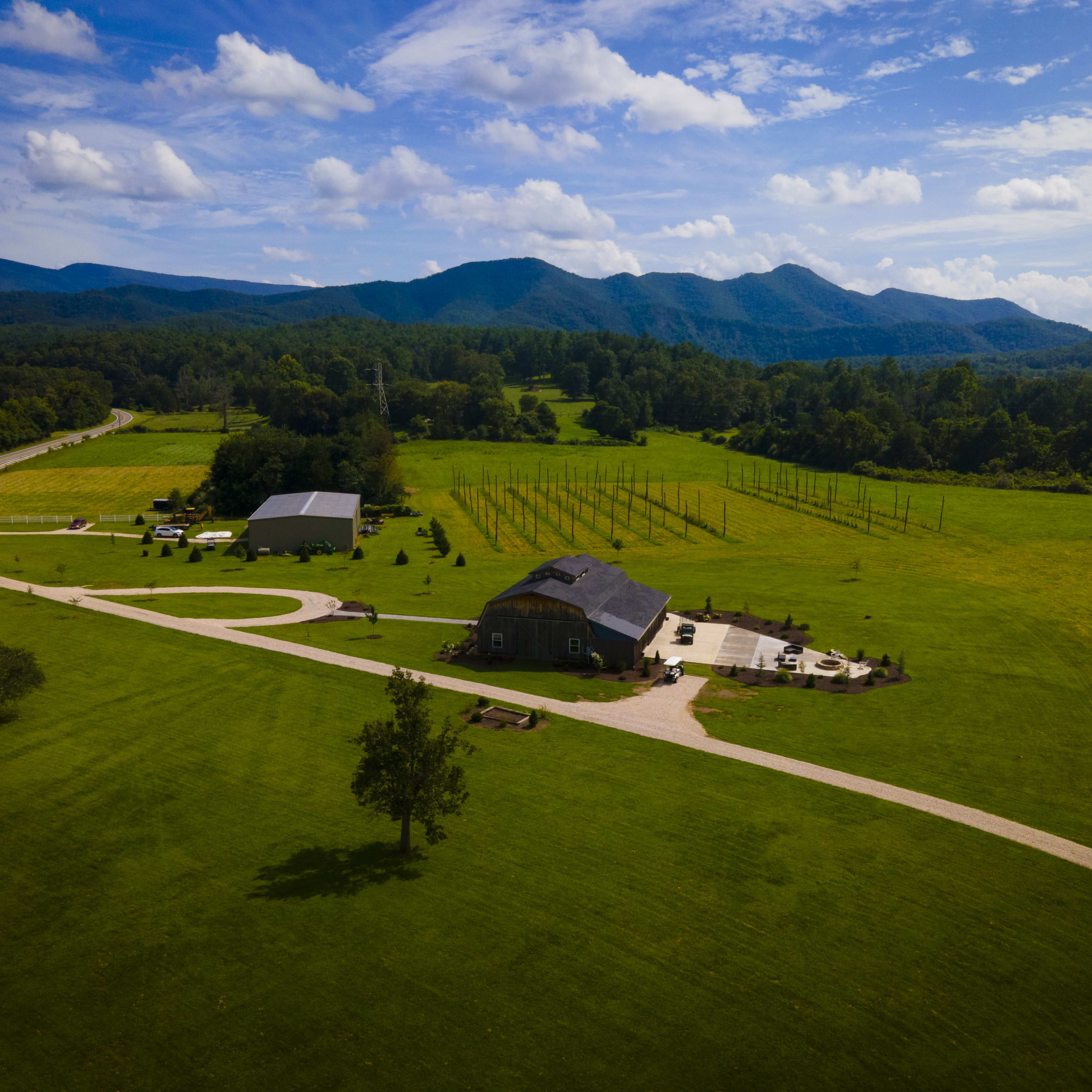 A spacious green landscape with a vineyard, a house, and a road leading toward the mountains in the background.